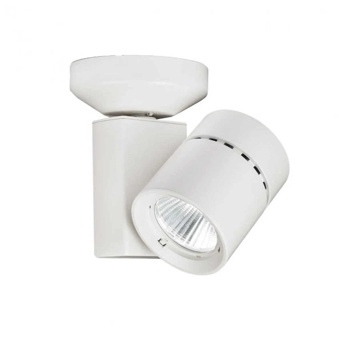 1023 Exterminator II 80CRI Adjustable Spot Light
