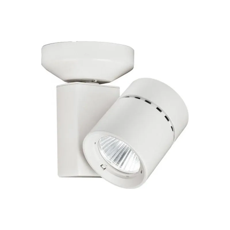 1023 Exterminator II 90CRI Adjustable Spot Light