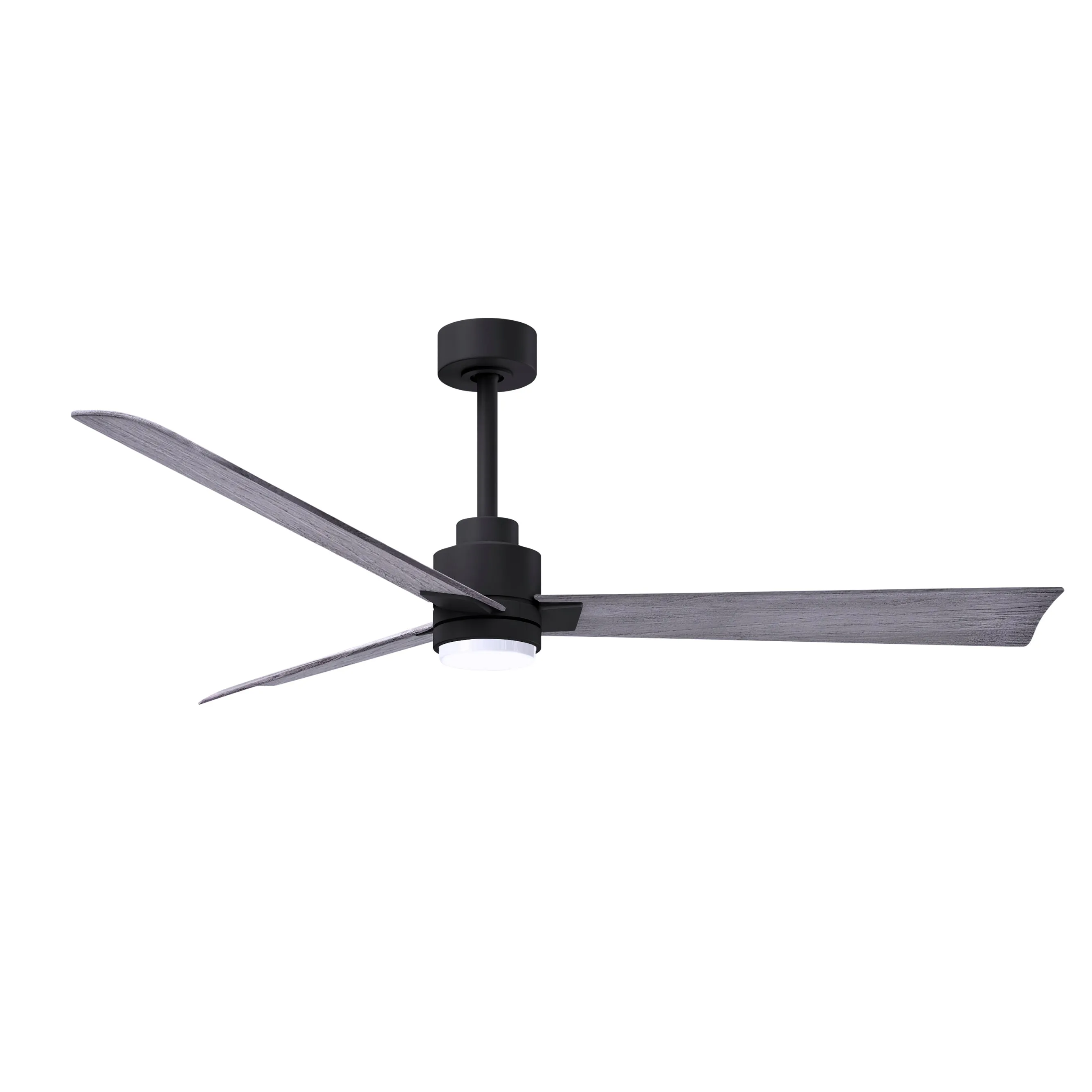 Alessandra Outdoor Ceiling Fan with Light