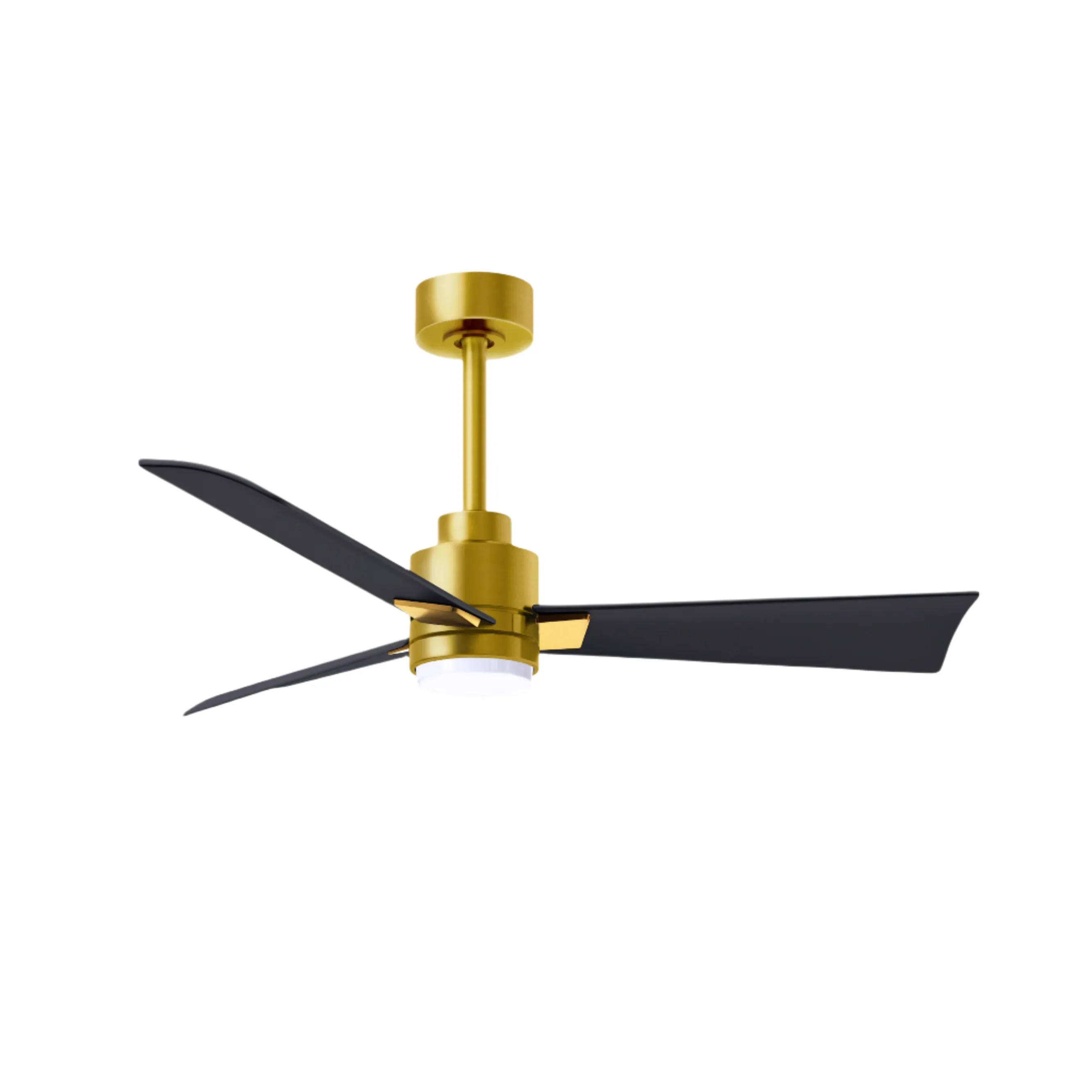 Alessandra Outdoor Ceiling Fan with Light