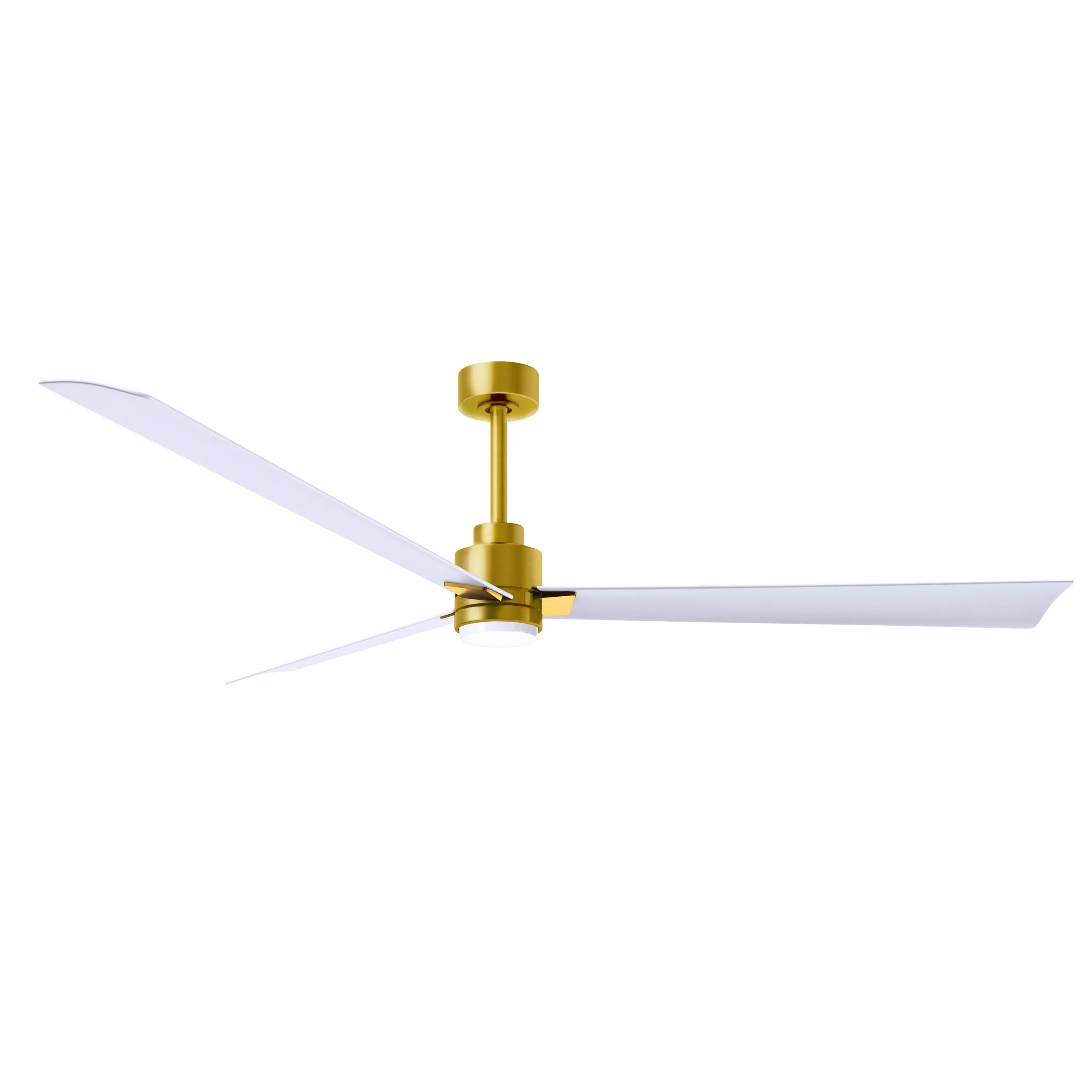 Alessandra Outdoor Ceiling Fan with Light