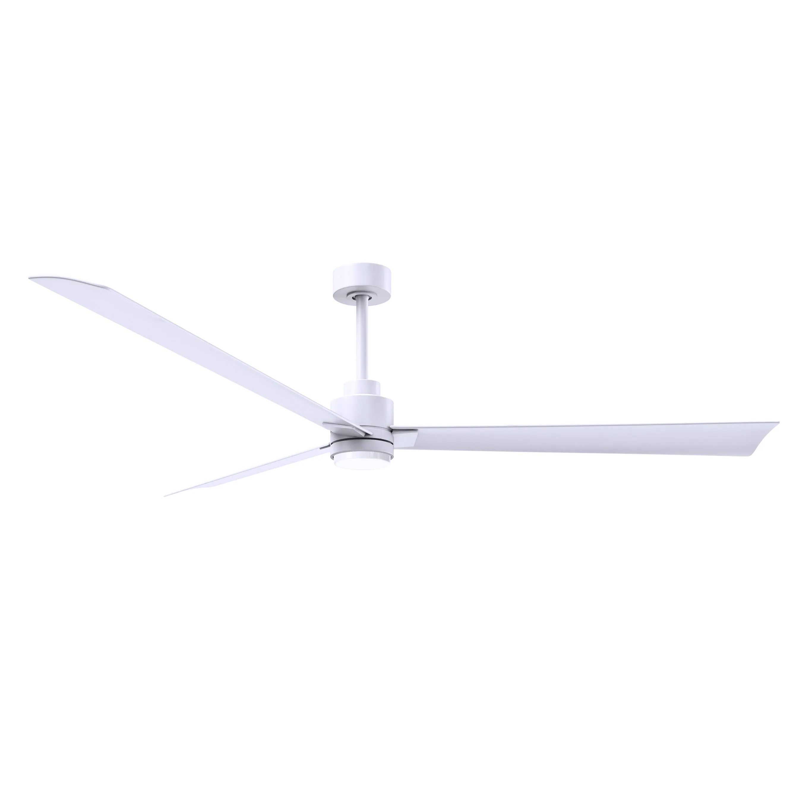 Alessandra Outdoor Ceiling Fan with Light