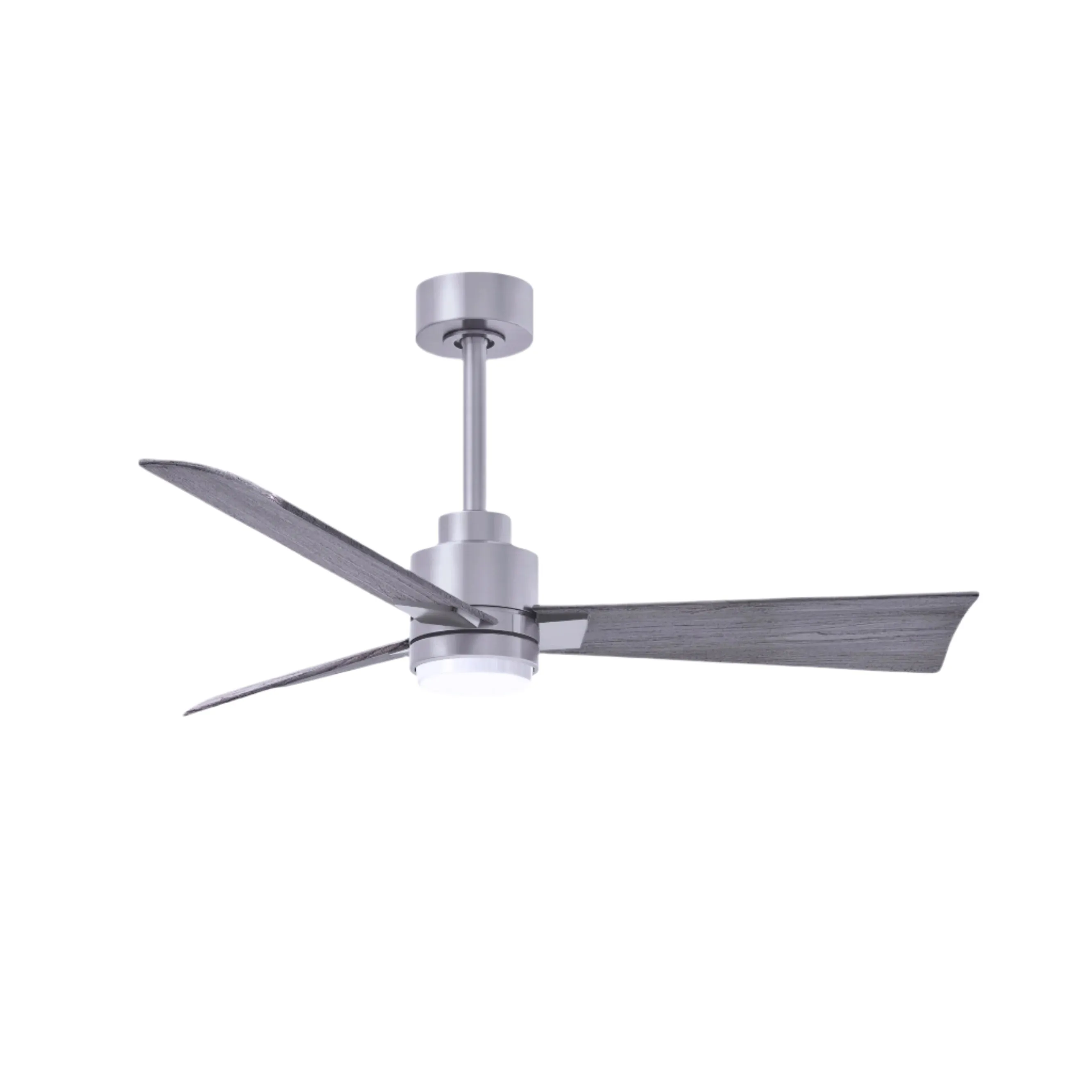 Alessandra Outdoor Ceiling Fan with Light