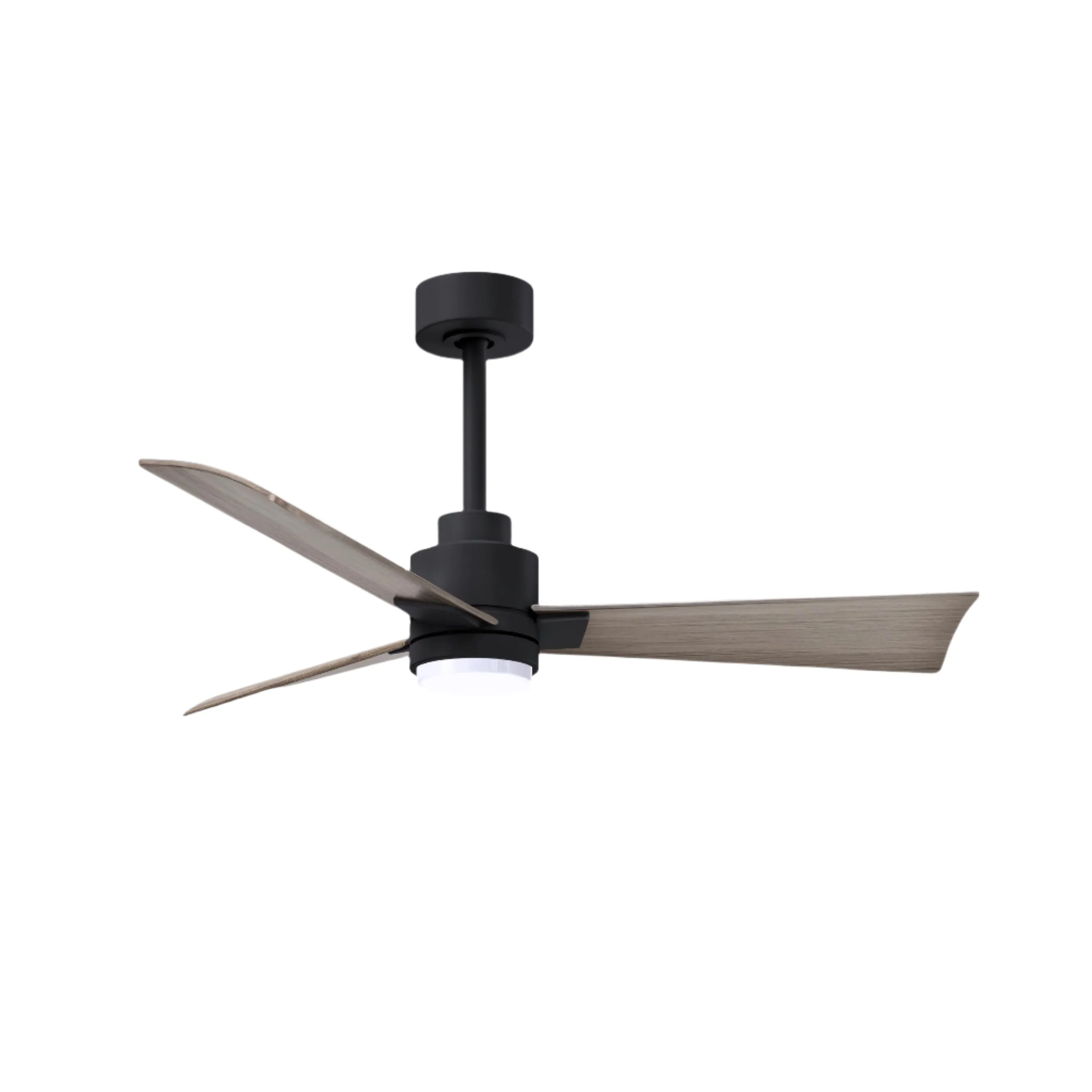Alessandra Outdoor Ceiling Fan with Light