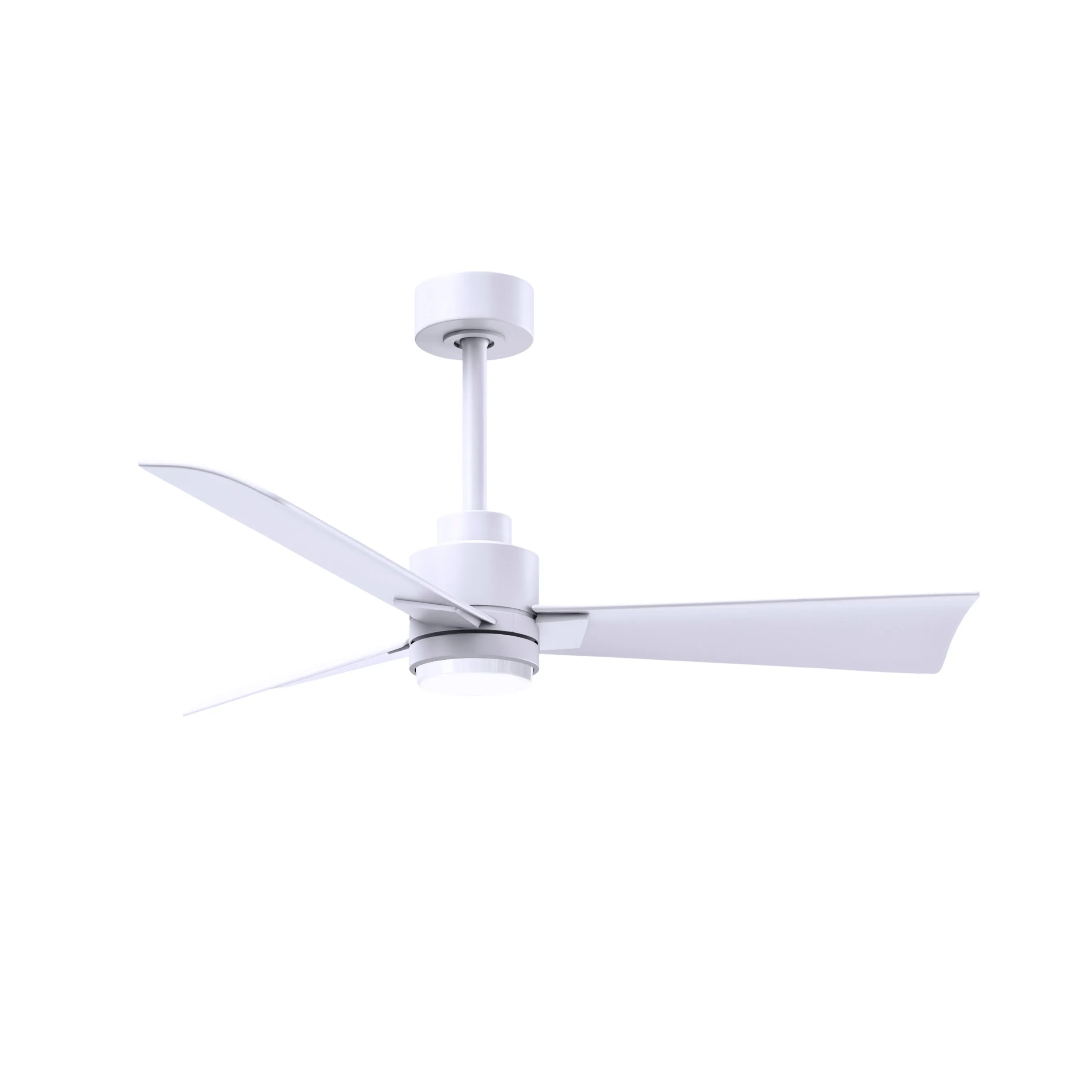 Alessandra Outdoor Ceiling Fan with Light