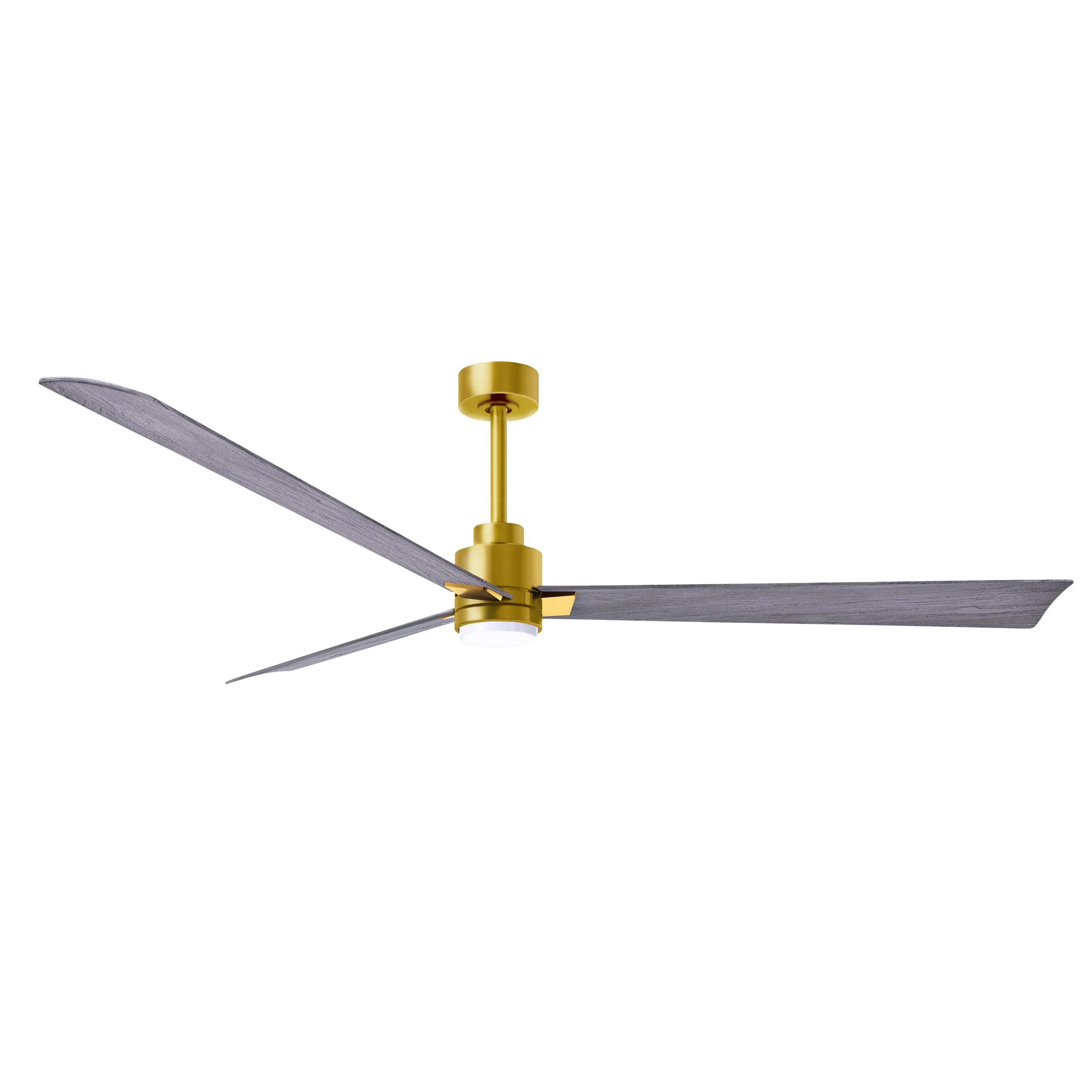 Alessandra Outdoor Ceiling Fan with Light