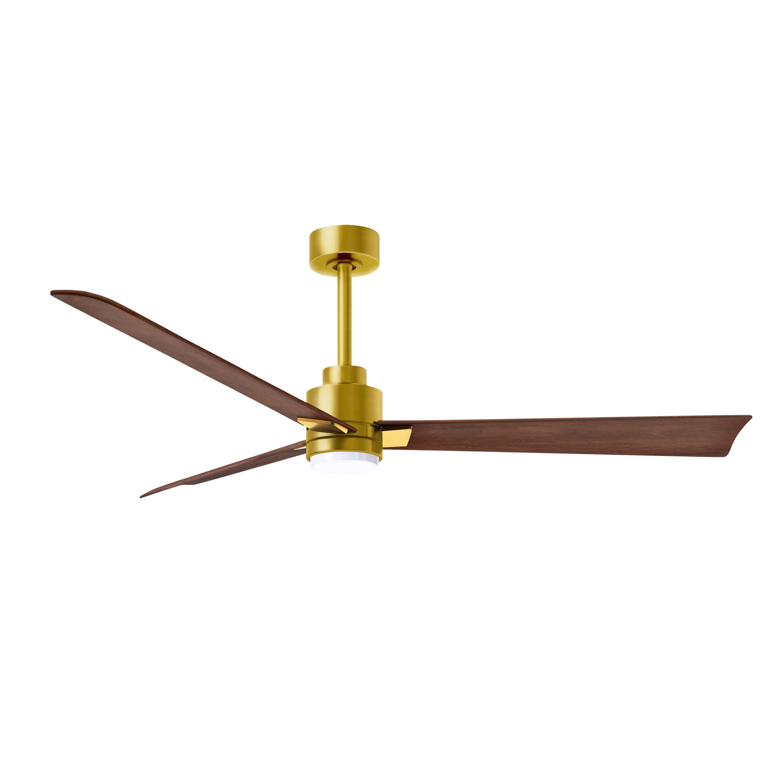 Alessandra Outdoor Ceiling Fan with Light