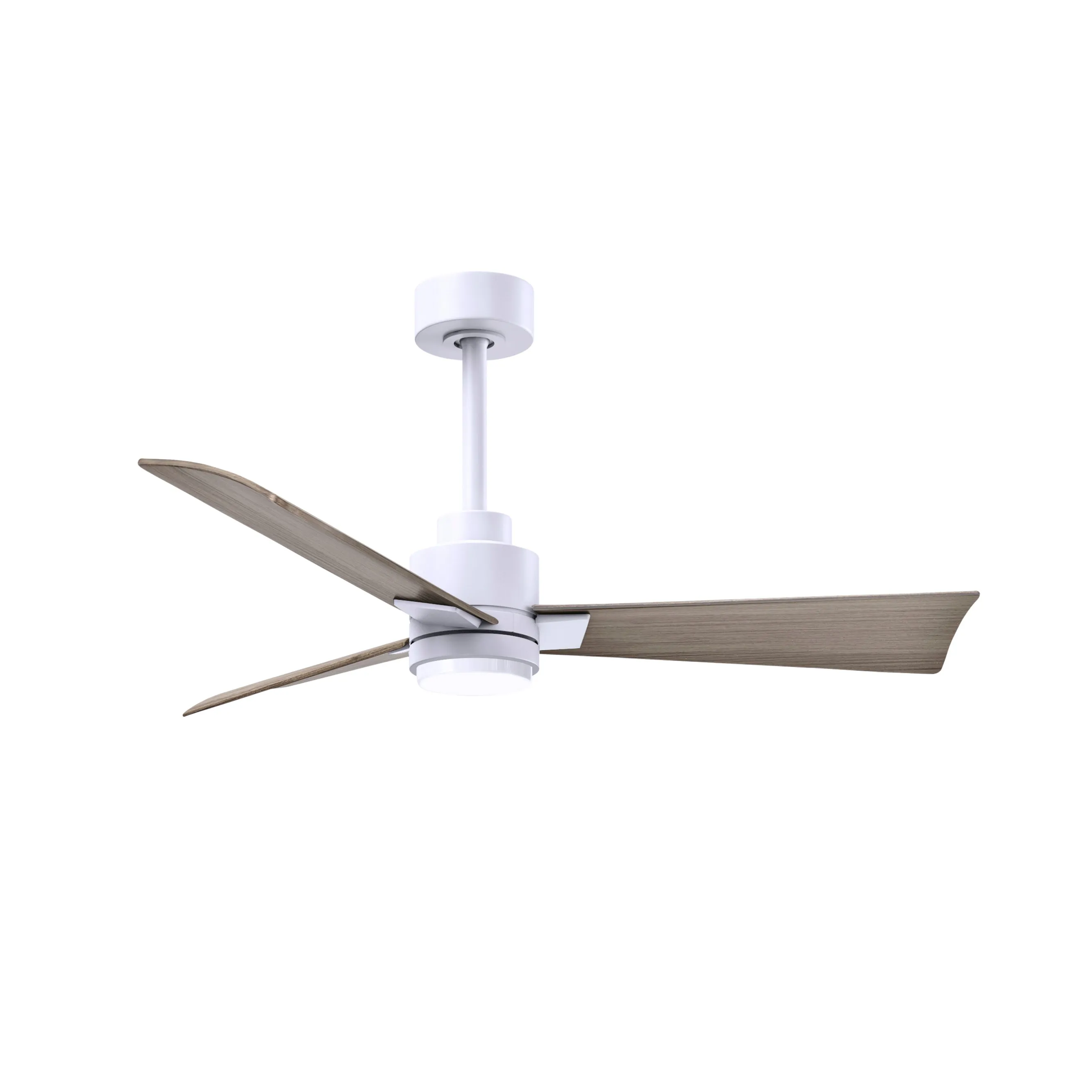 Alessandra Outdoor Ceiling Fan with Light