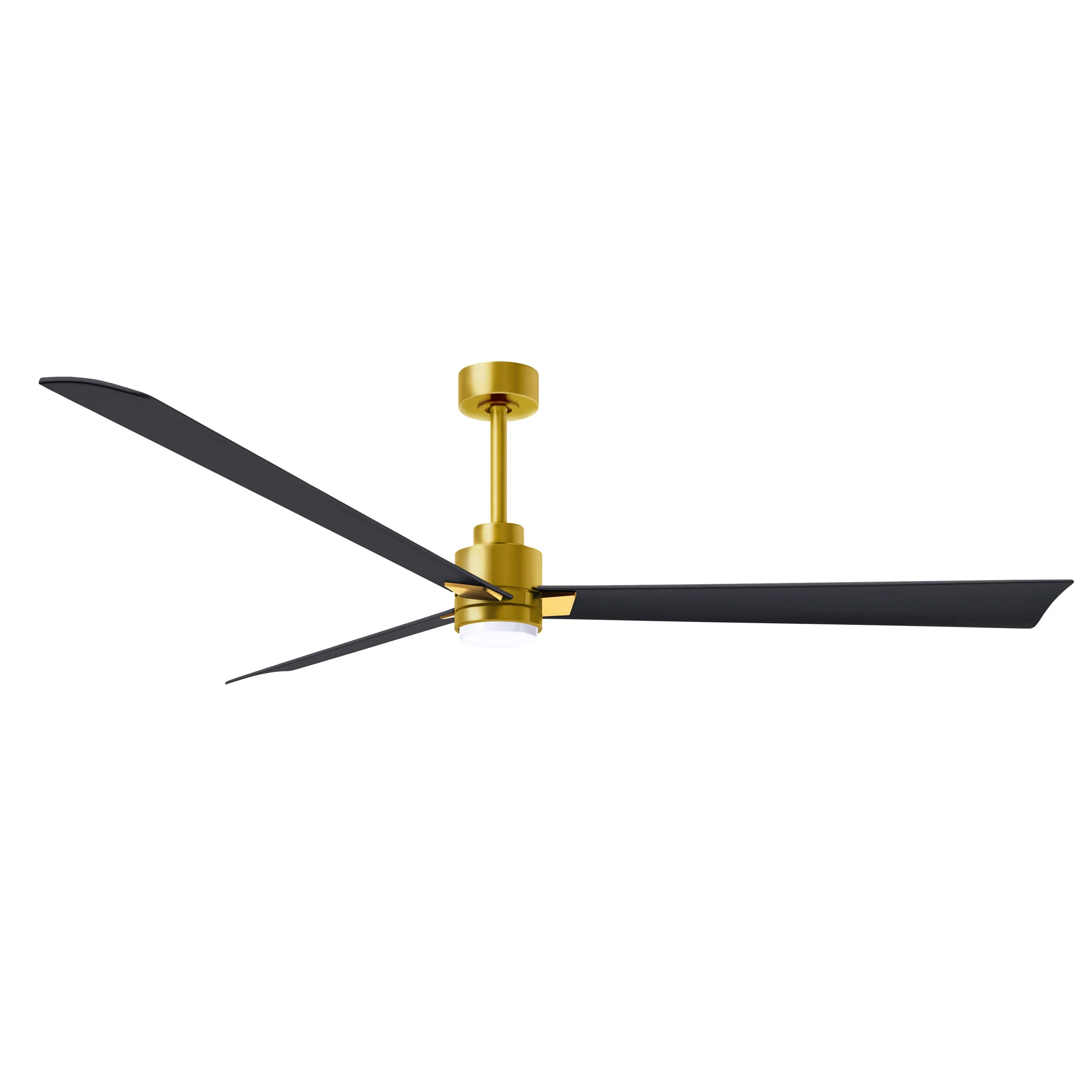 Alessandra Outdoor Ceiling Fan with Light