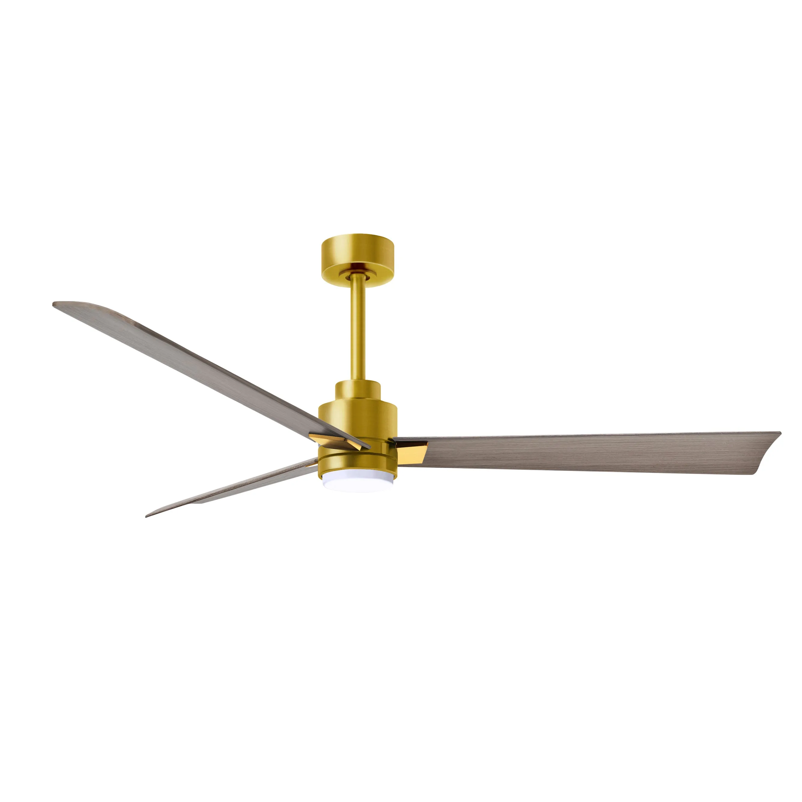 Alessandra Outdoor Ceiling Fan with Light