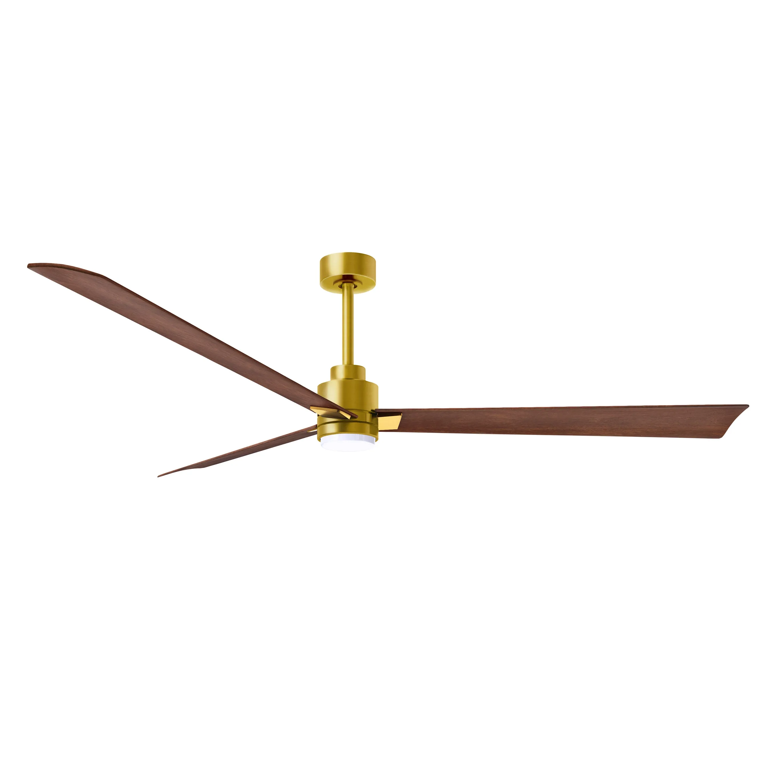 Alessandra Outdoor Ceiling Fan with Light
