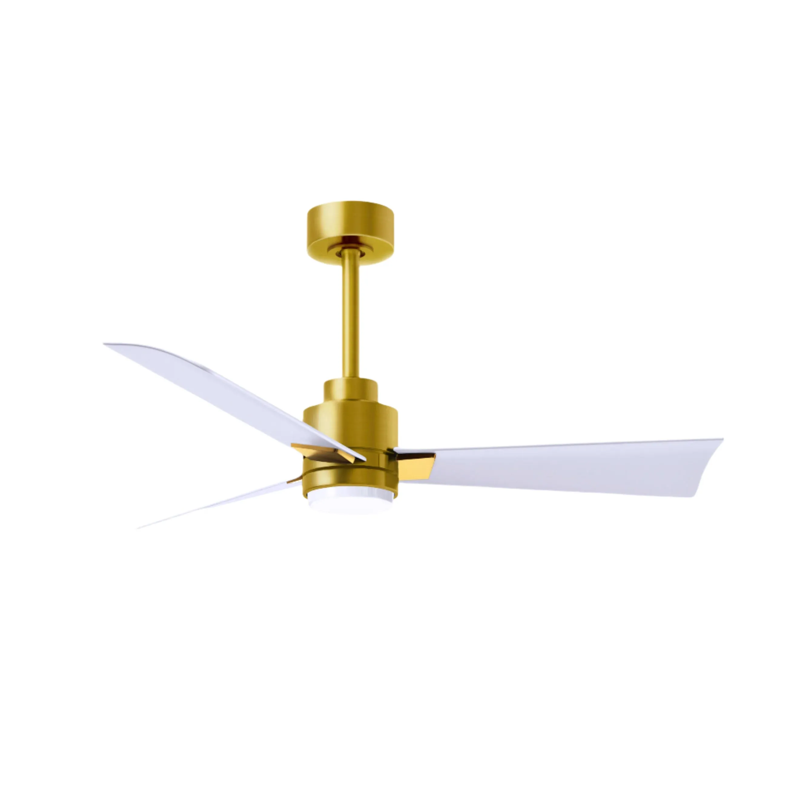 Alessandra Outdoor Ceiling Fan with Light
