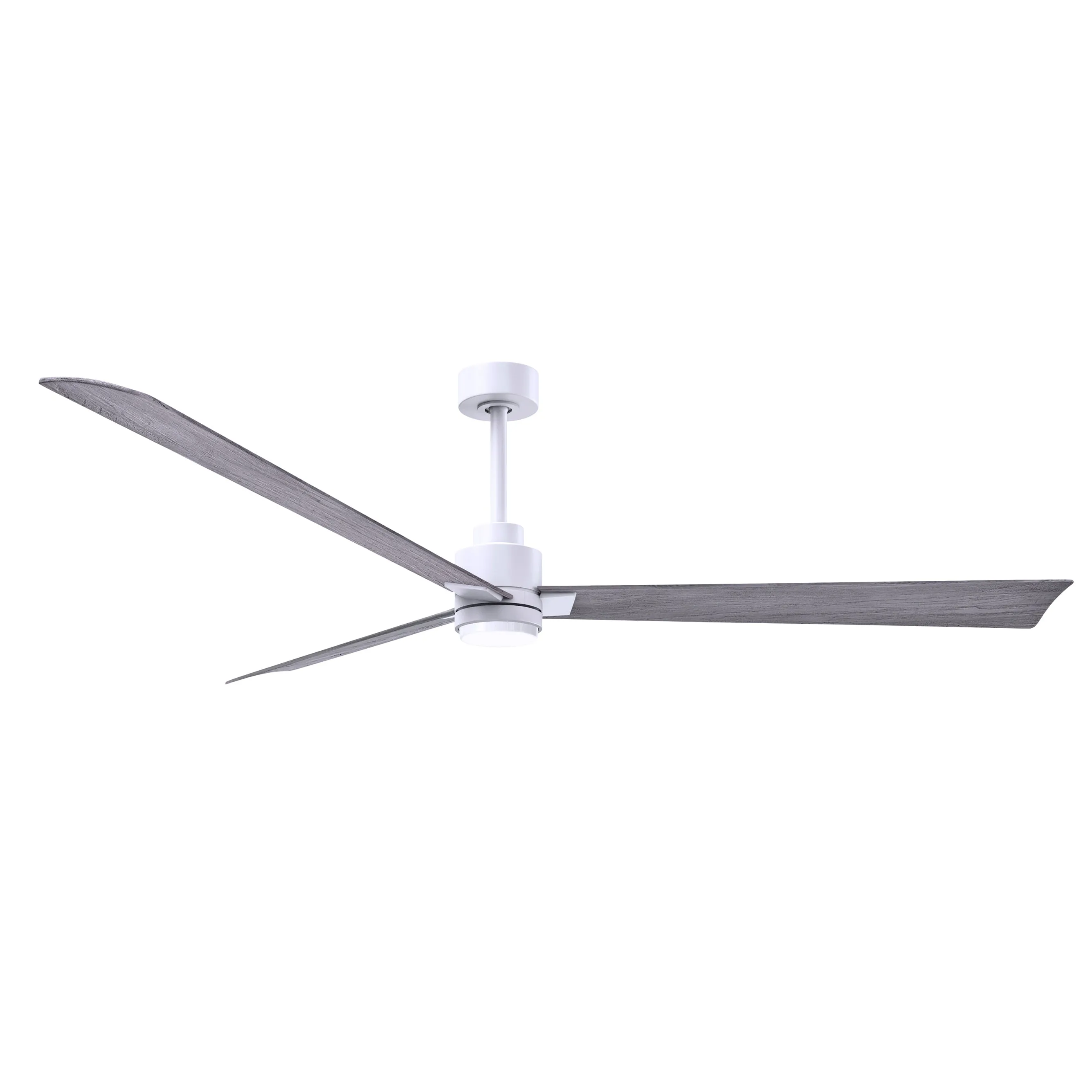 Alessandra Outdoor Ceiling Fan with Light