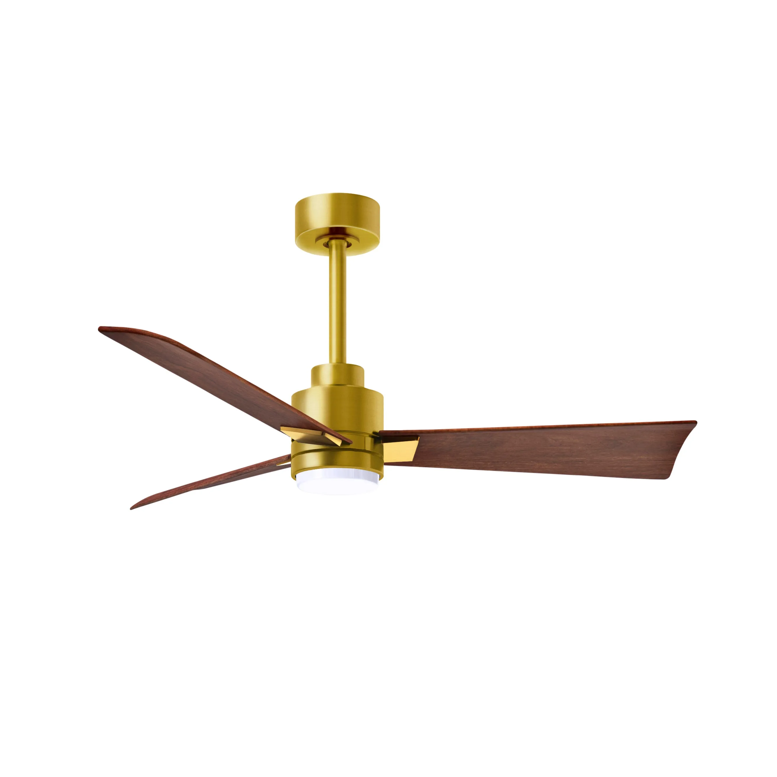 Alessandra Outdoor Ceiling Fan with Light