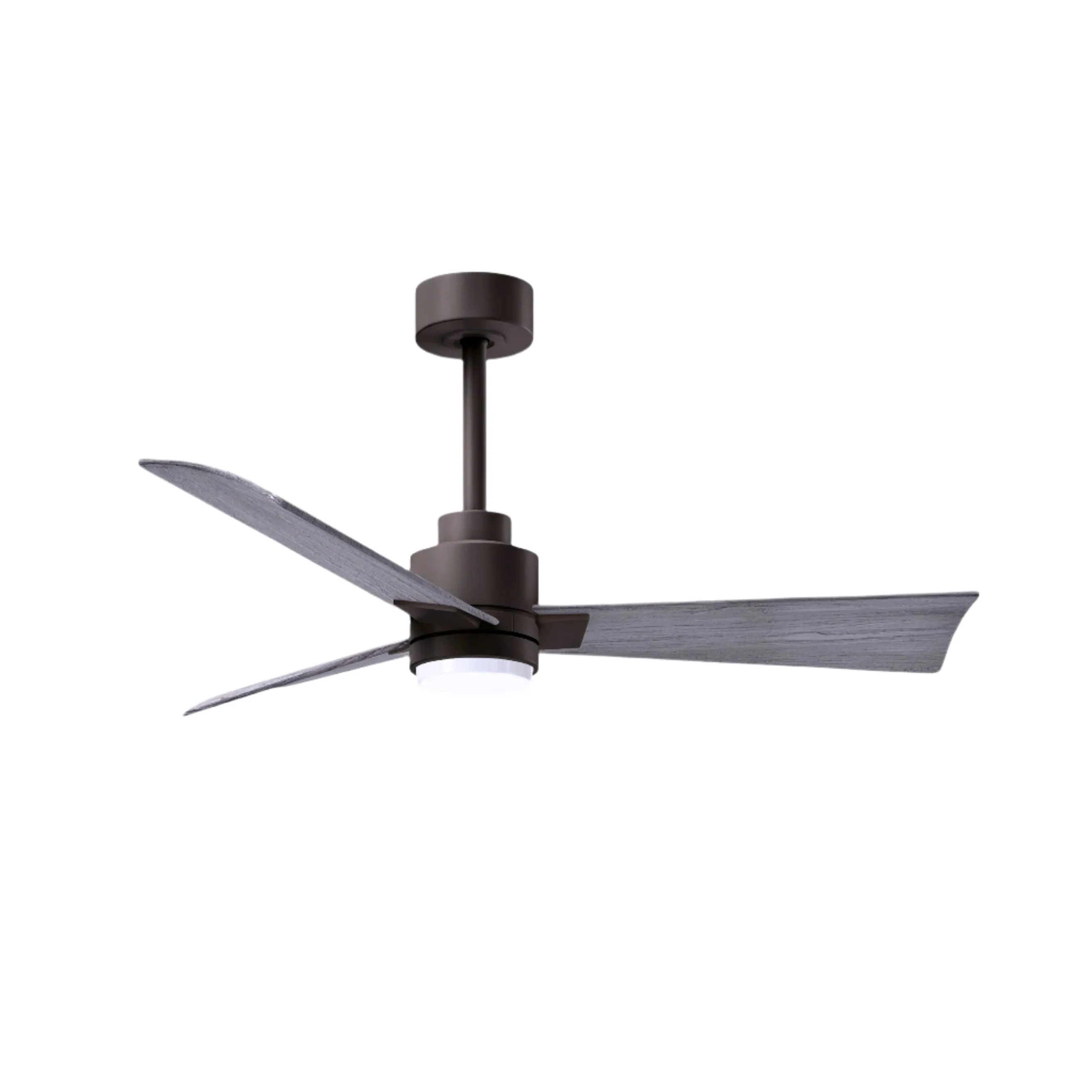 Alessandra Outdoor Ceiling Fan with Light