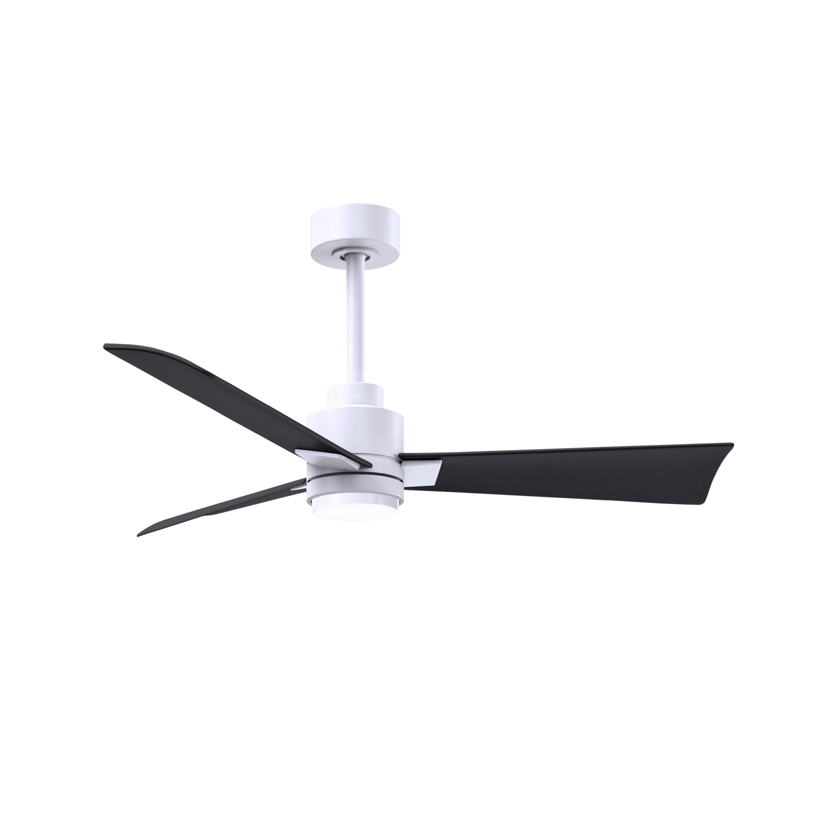 Alessandra Outdoor Ceiling Fan with Light