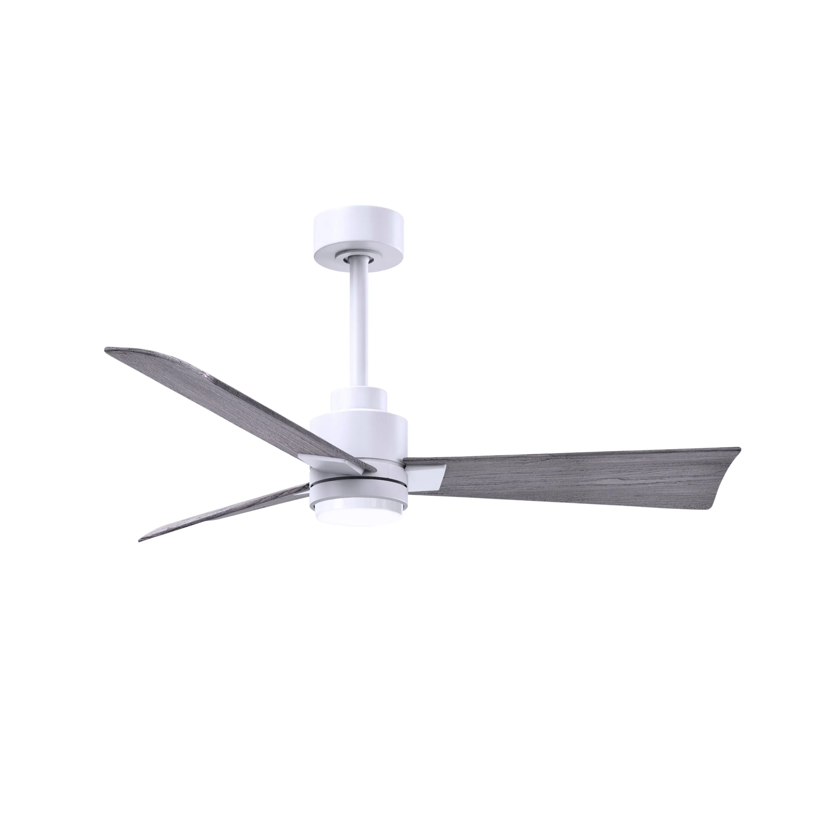 Alessandra Outdoor Ceiling Fan with Light