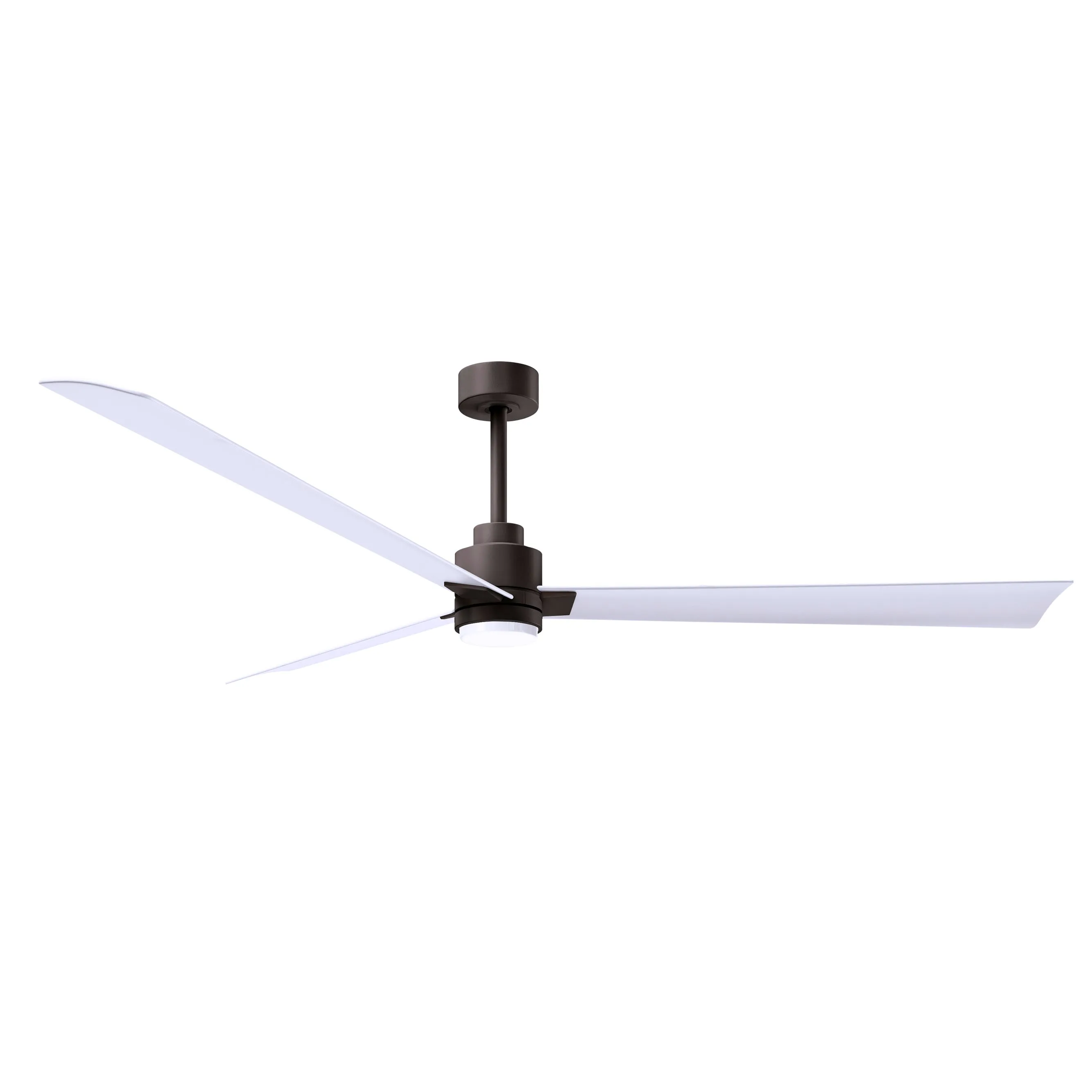 Alessandra Outdoor Ceiling Fan with Light