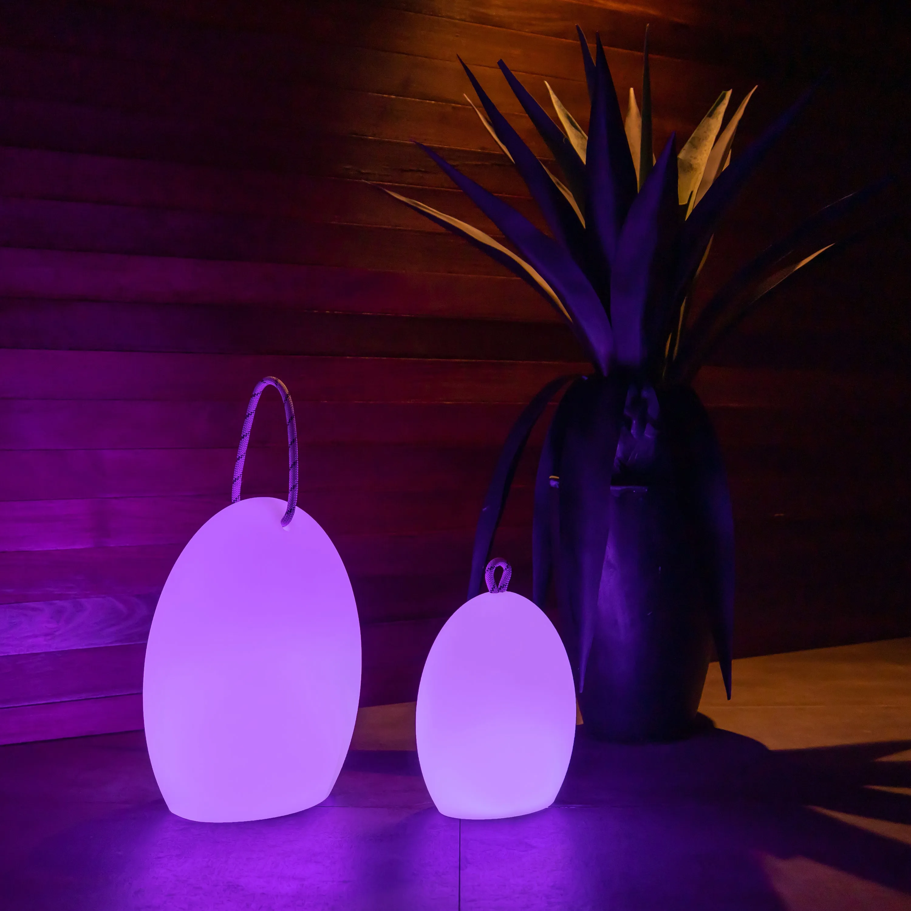 Amande Corde Outdoor Bluetooth LED Table Lamp