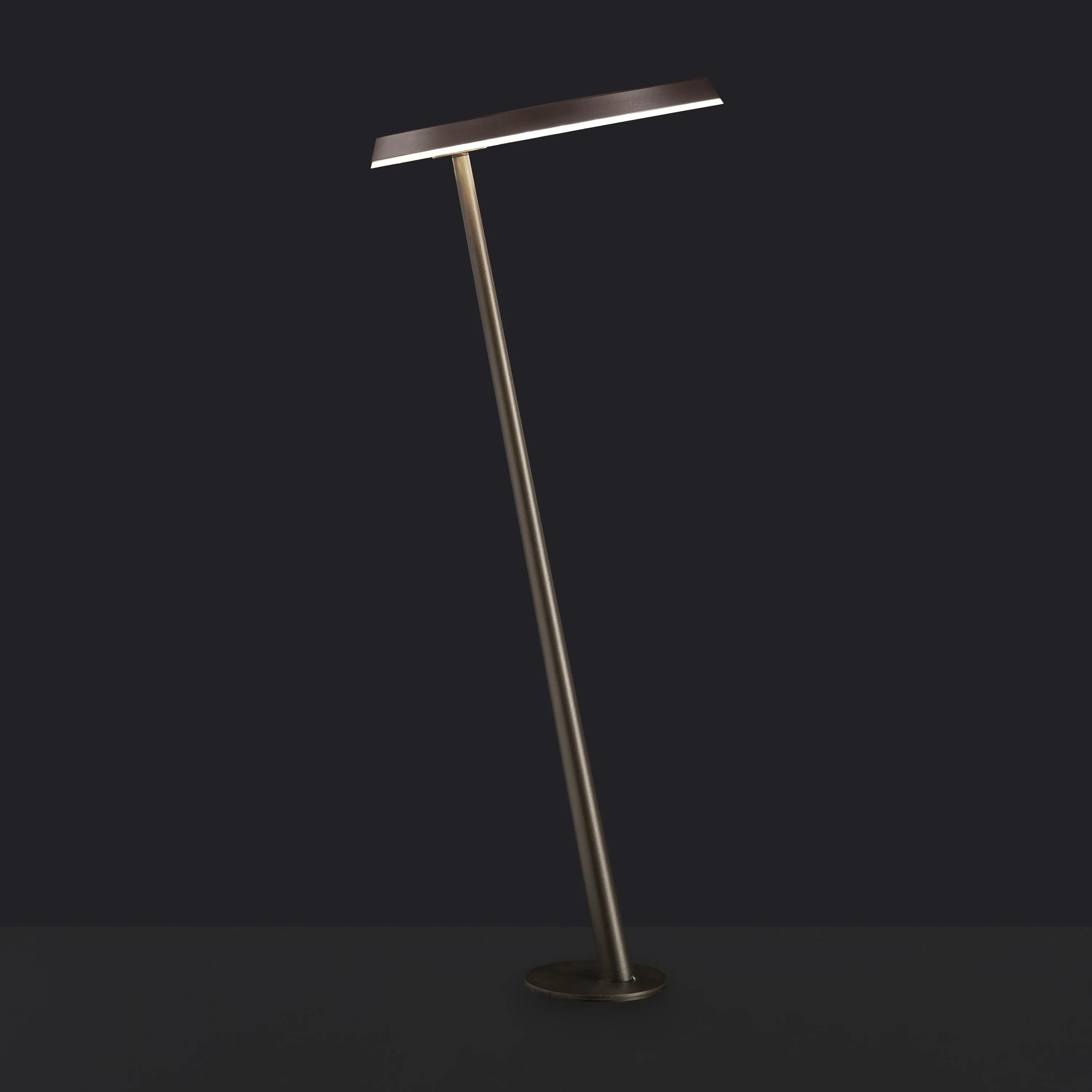 Amanita Path Light