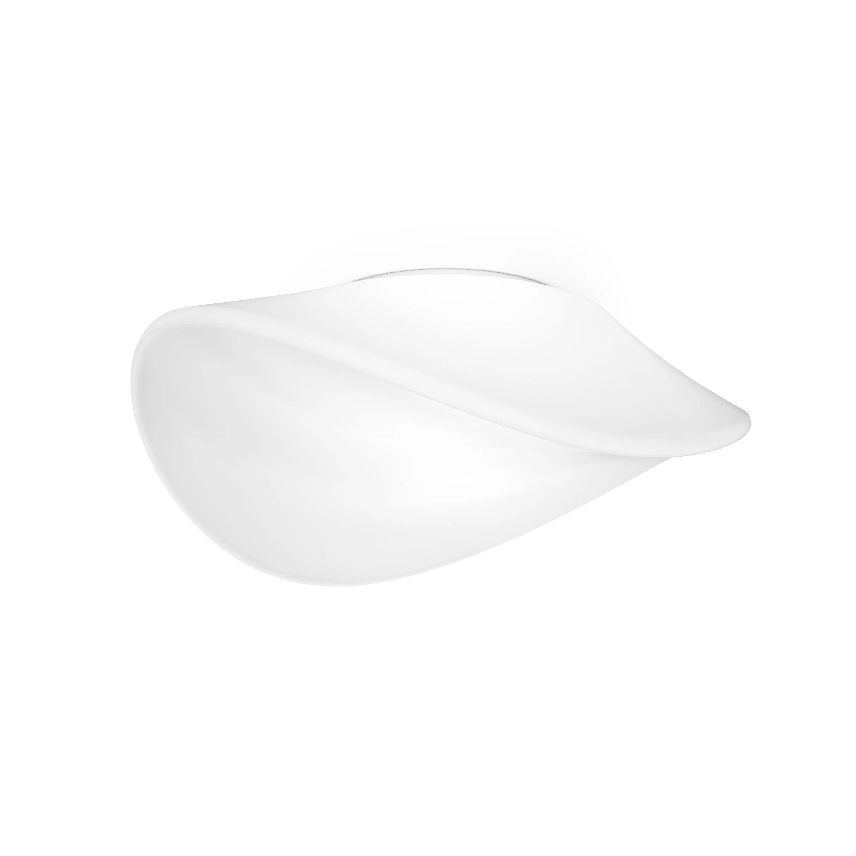 Balance Wall/Ceiling Lamp