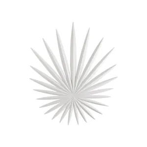 Bismarkia Wall Sconce