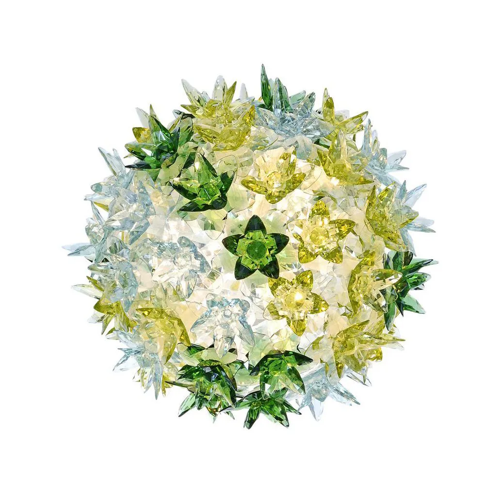 Bloom New Wall/Ceiling Lamp
