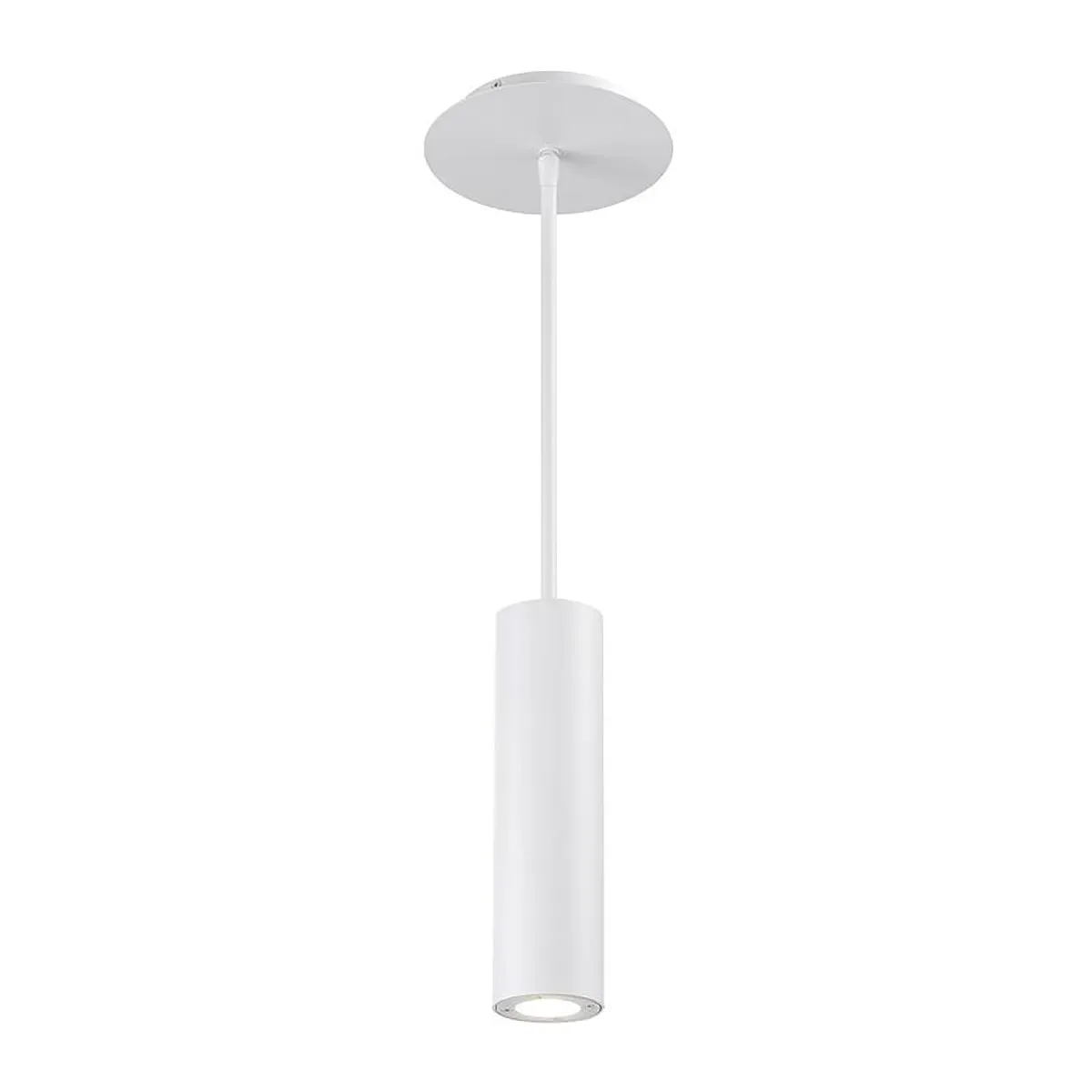 Caliber LED Indoor / Outdoor Pendant Light