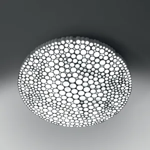 Calipso Wall/Ceiling Light