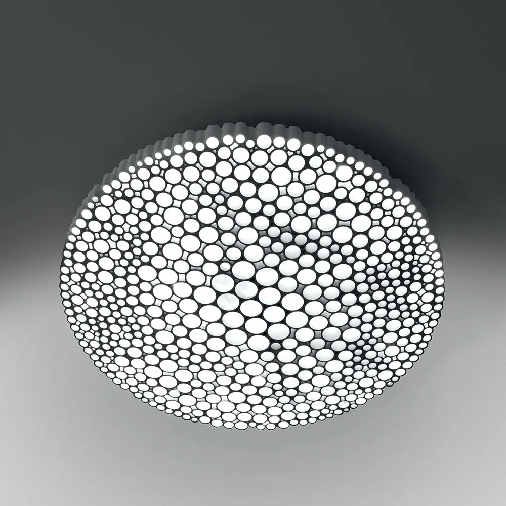 Calipso Wall/Ceiling Light