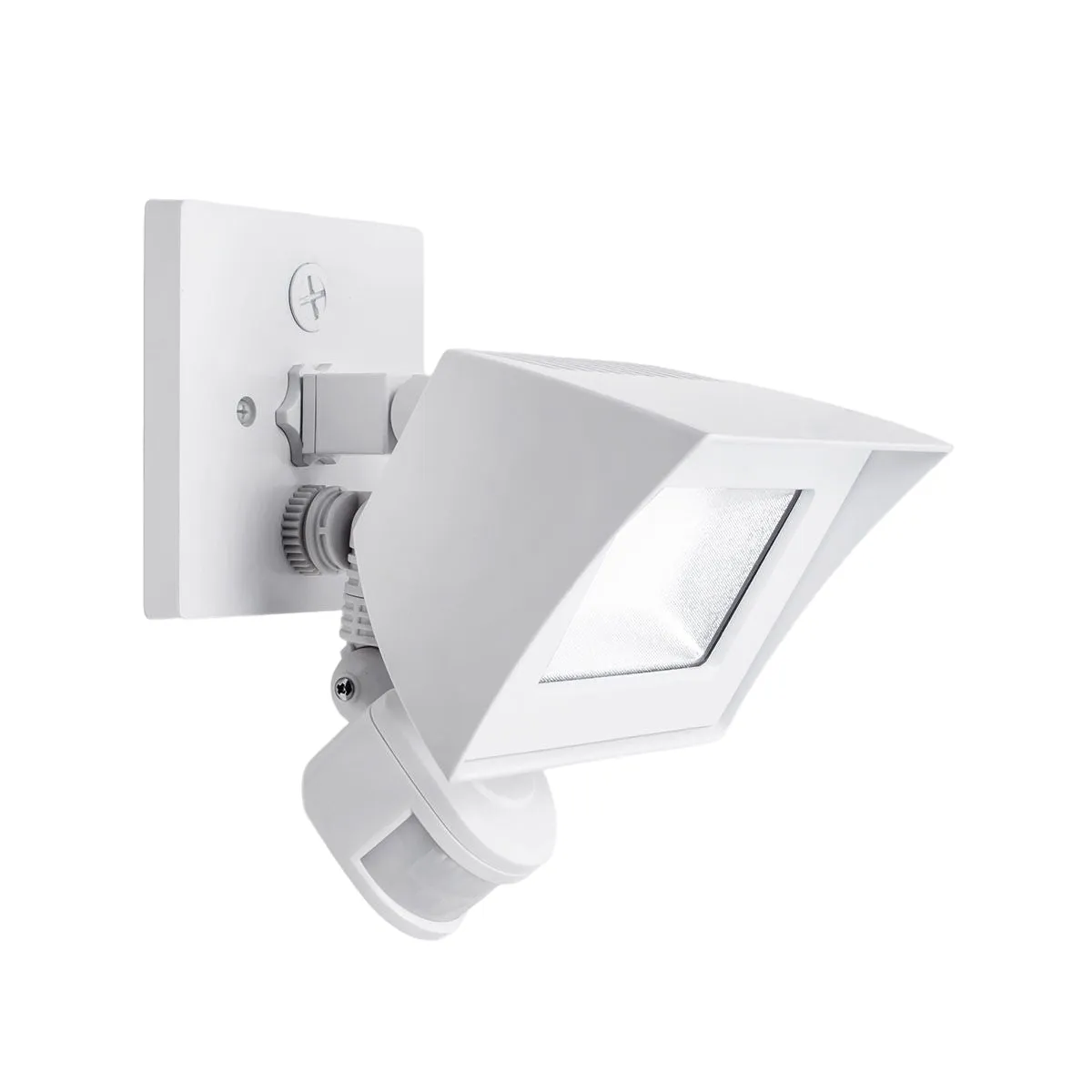 Endurance Flood Light Outdoor/Indoor Wall Pack