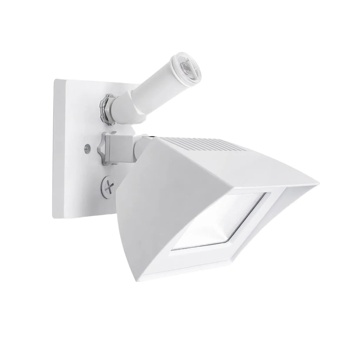 Endurance Flood Light Outdoor/Indoor Wall Pack