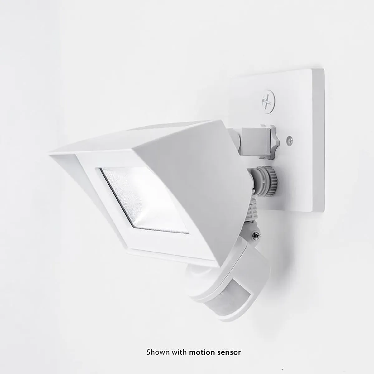 Endurance Flood Light Outdoor/Indoor Wall Pack