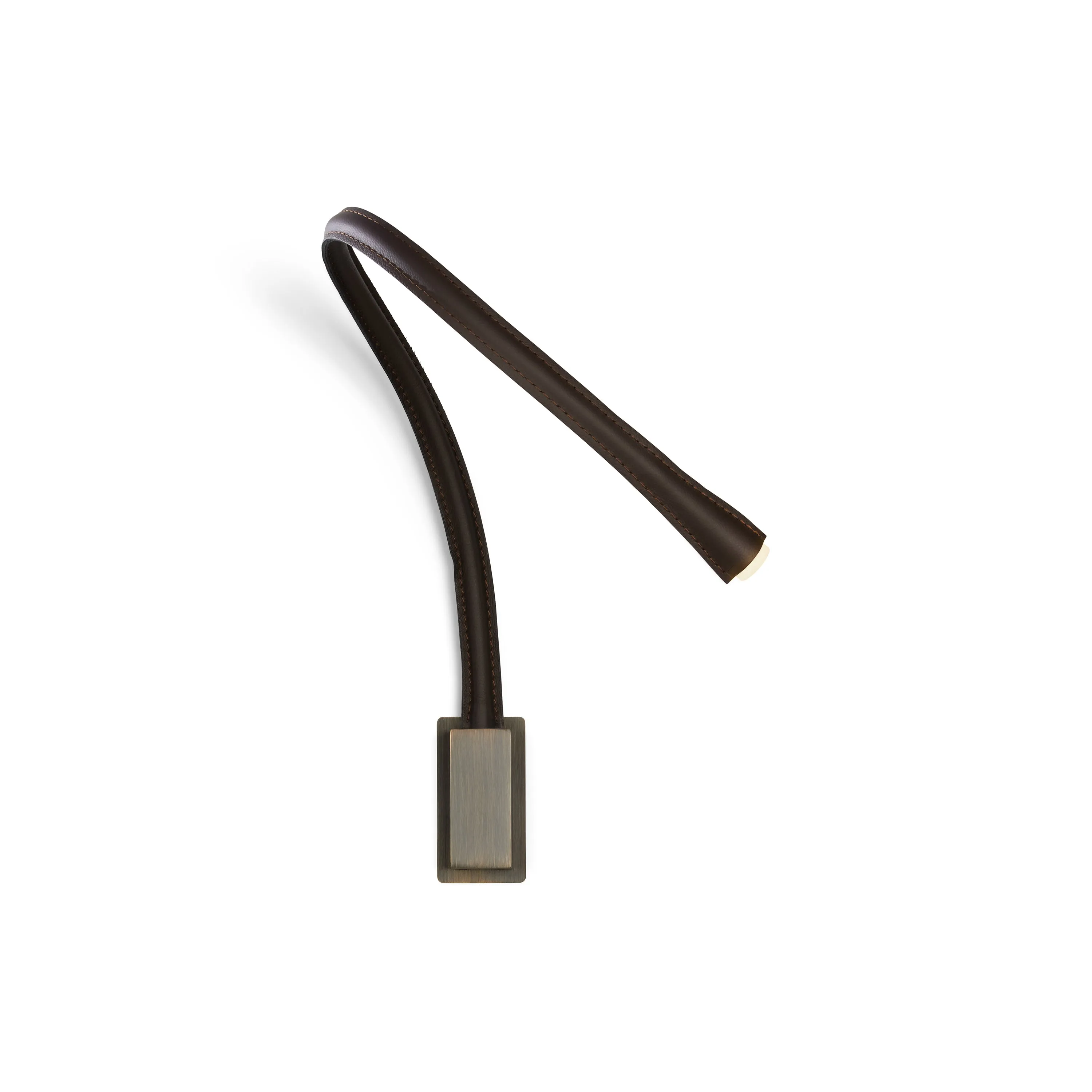 Flexiled Wall Light