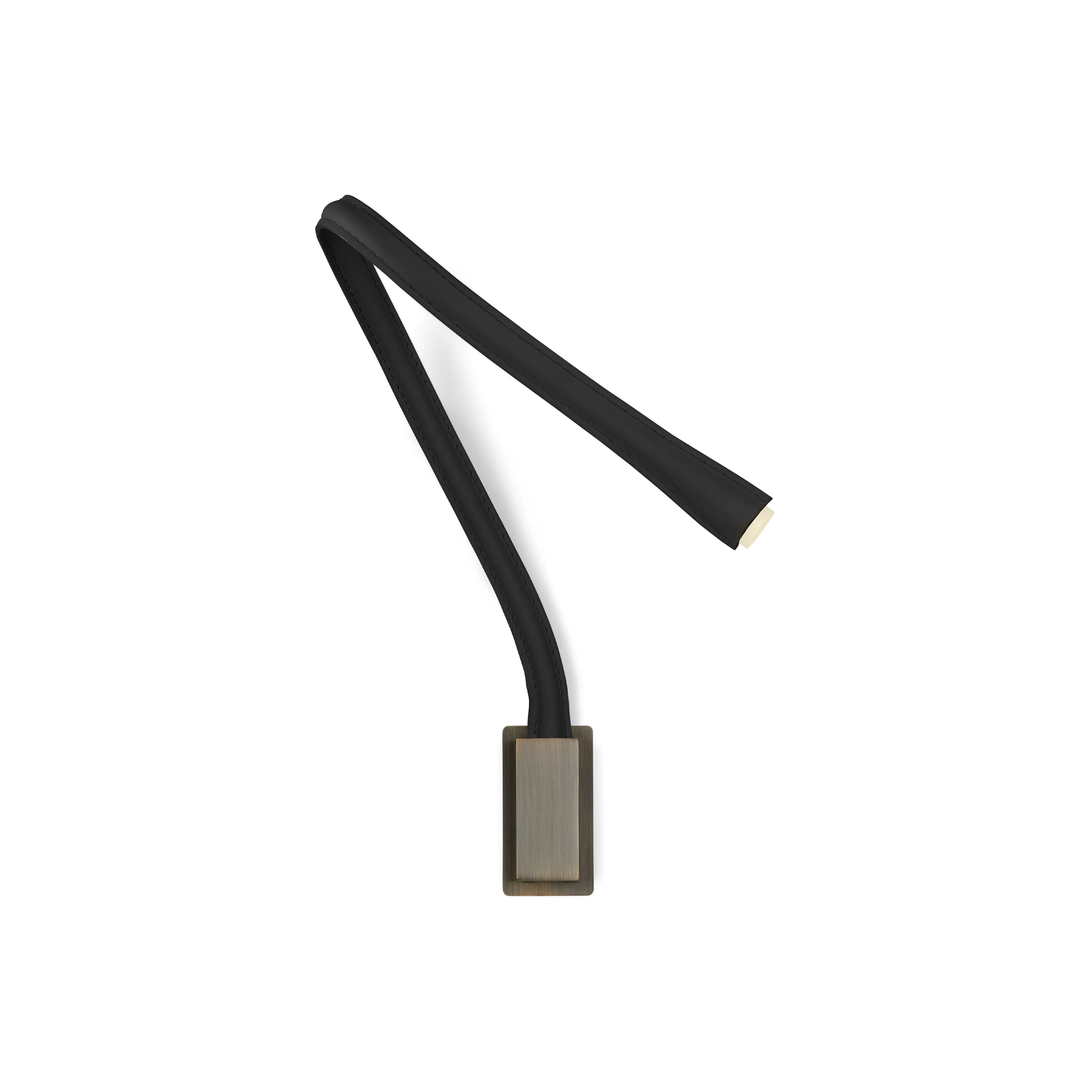 Flexiled Wall Light