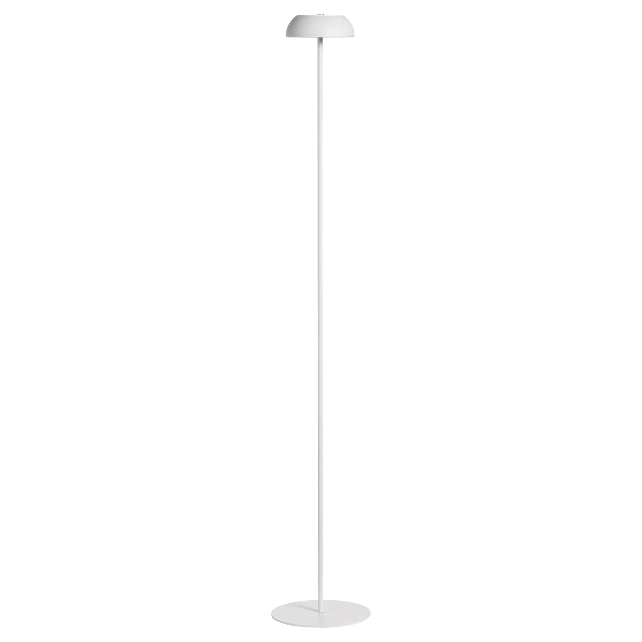 Float Floor Lamp