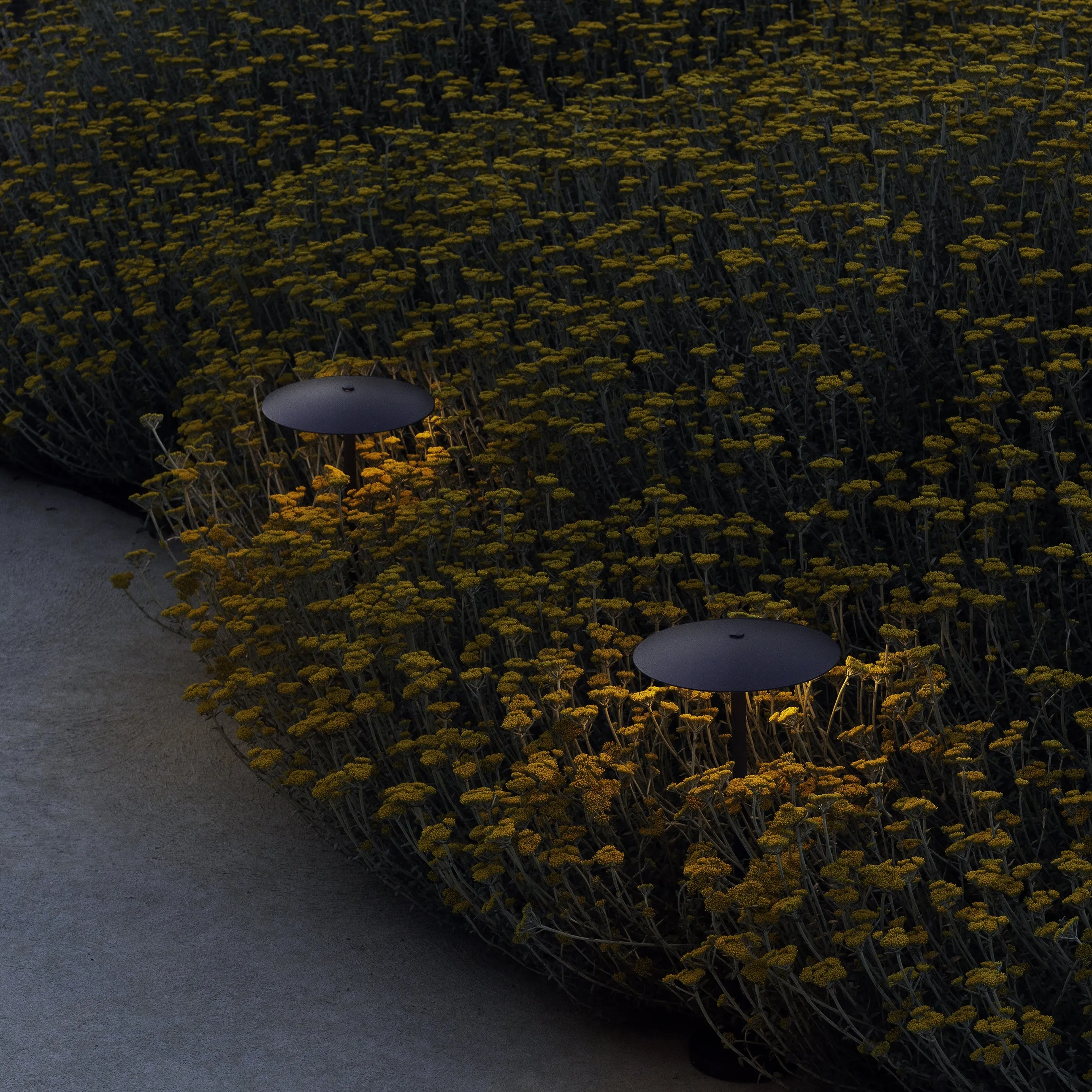 Ginger Outdoor Bollard Light