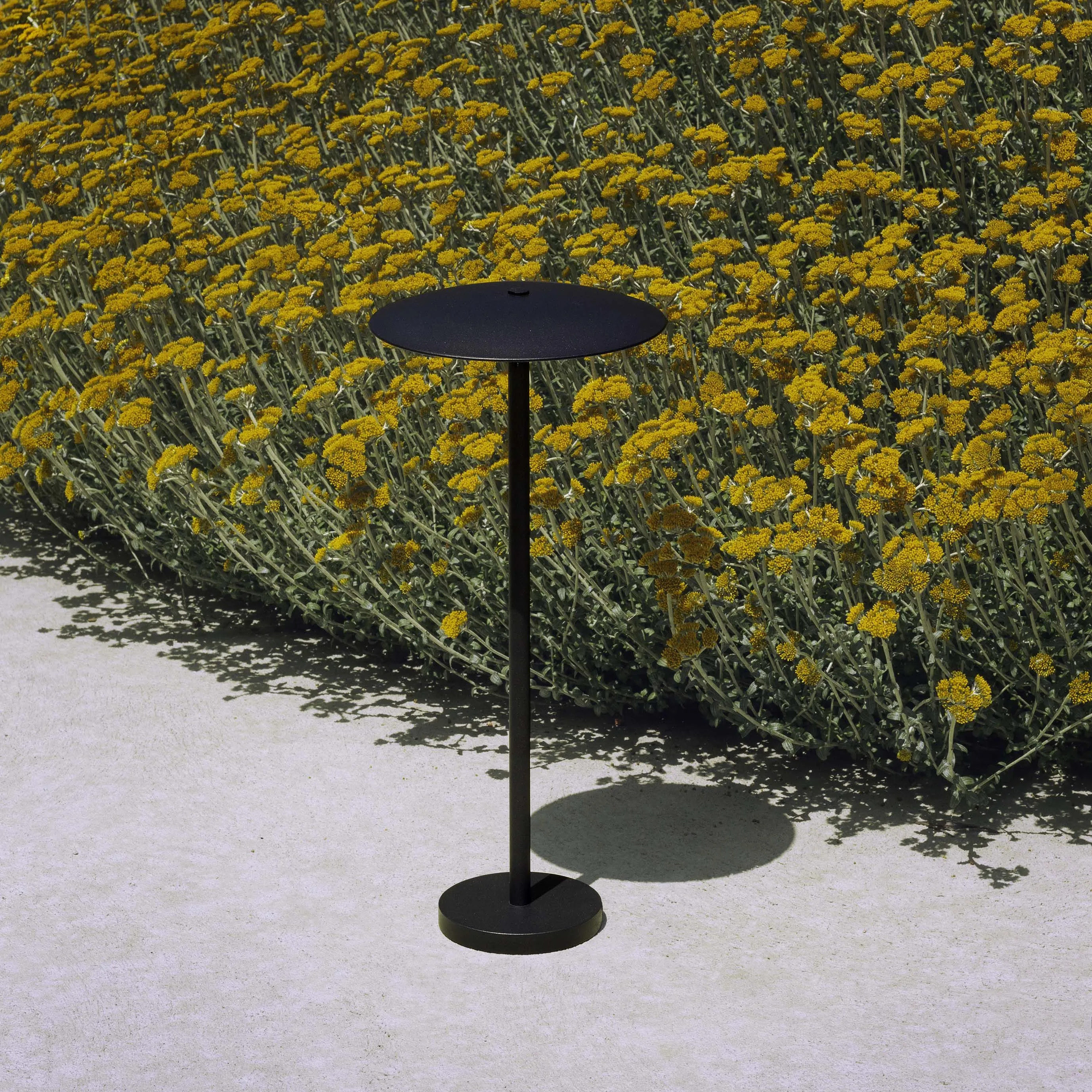 Ginger Outdoor Bollard Light