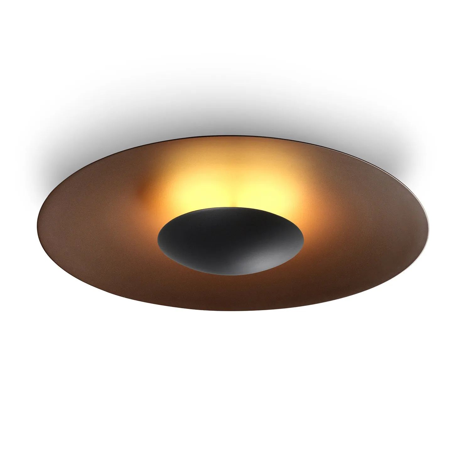 Ginger Outdoor Wall/Ceiling Light