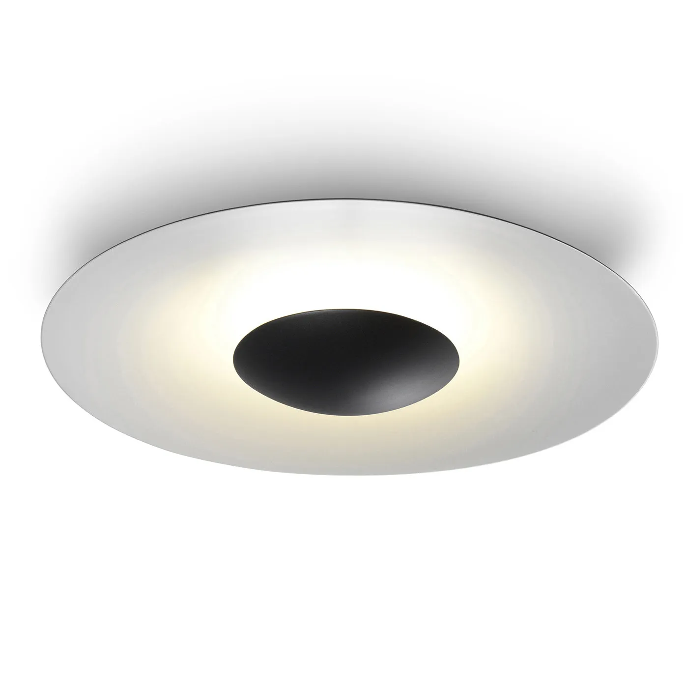 Ginger Outdoor Wall/Ceiling Light