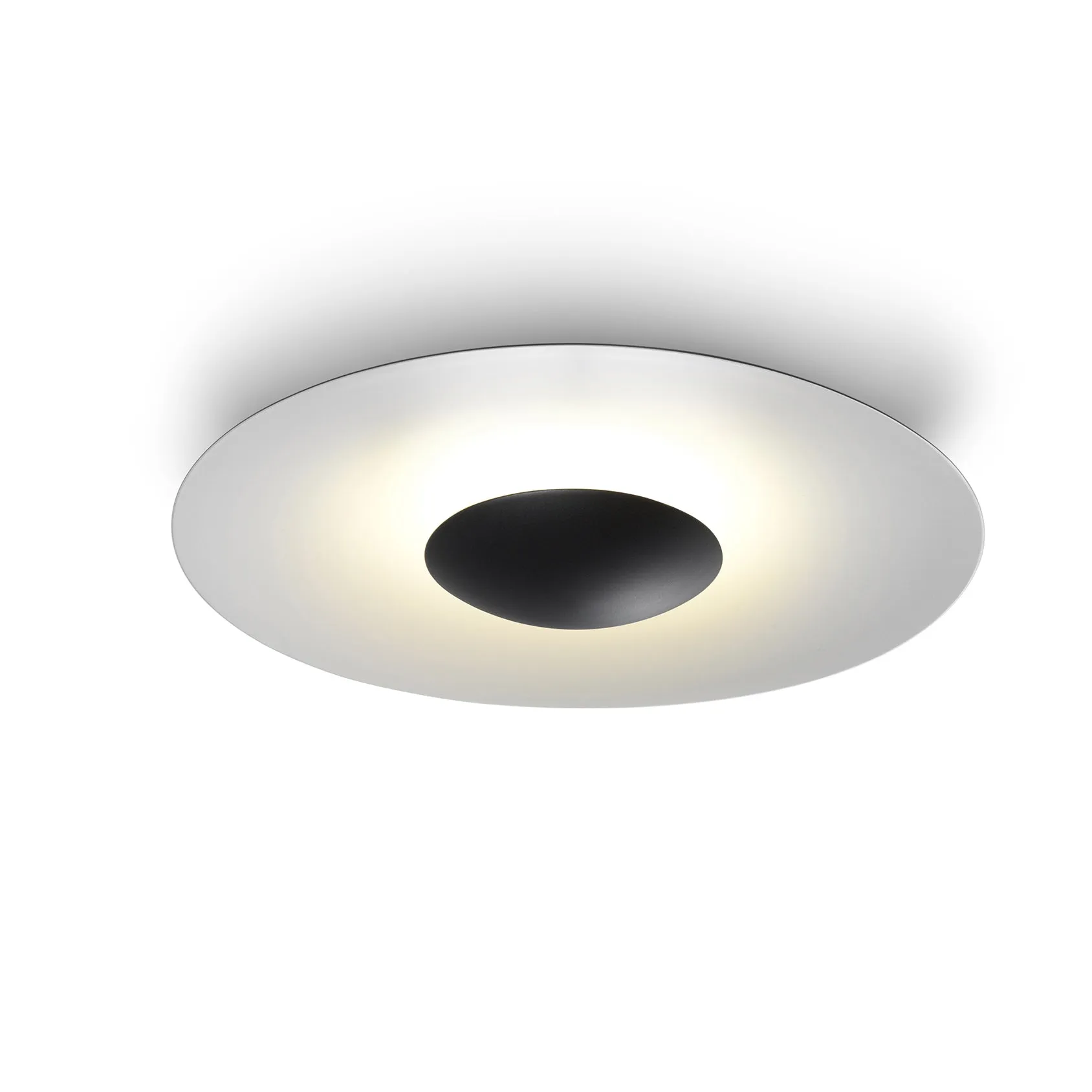 Ginger Outdoor Wall/Ceiling Light
