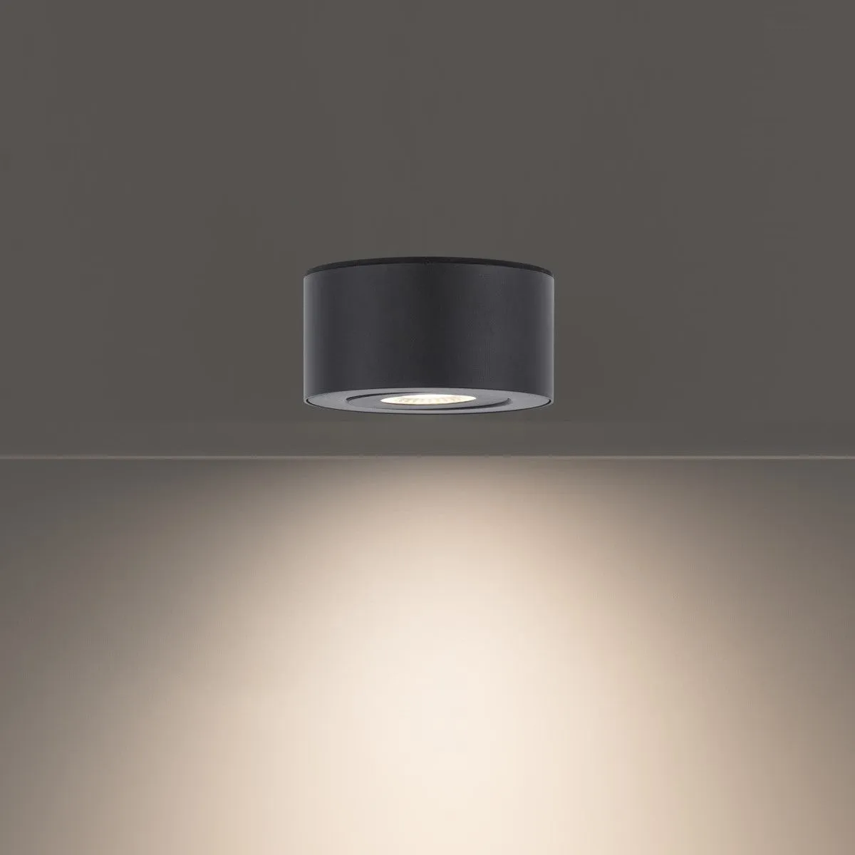 I Spy LED Outdoor Flush Mount
