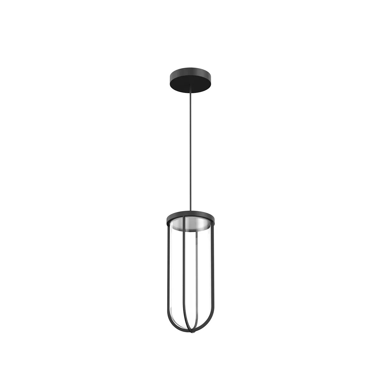 In Vitro Outdoor Suspension Light