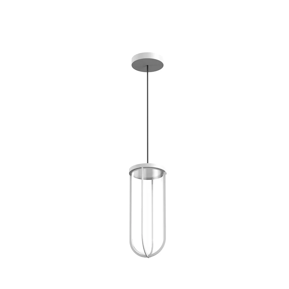 In Vitro Outdoor Suspension Light
