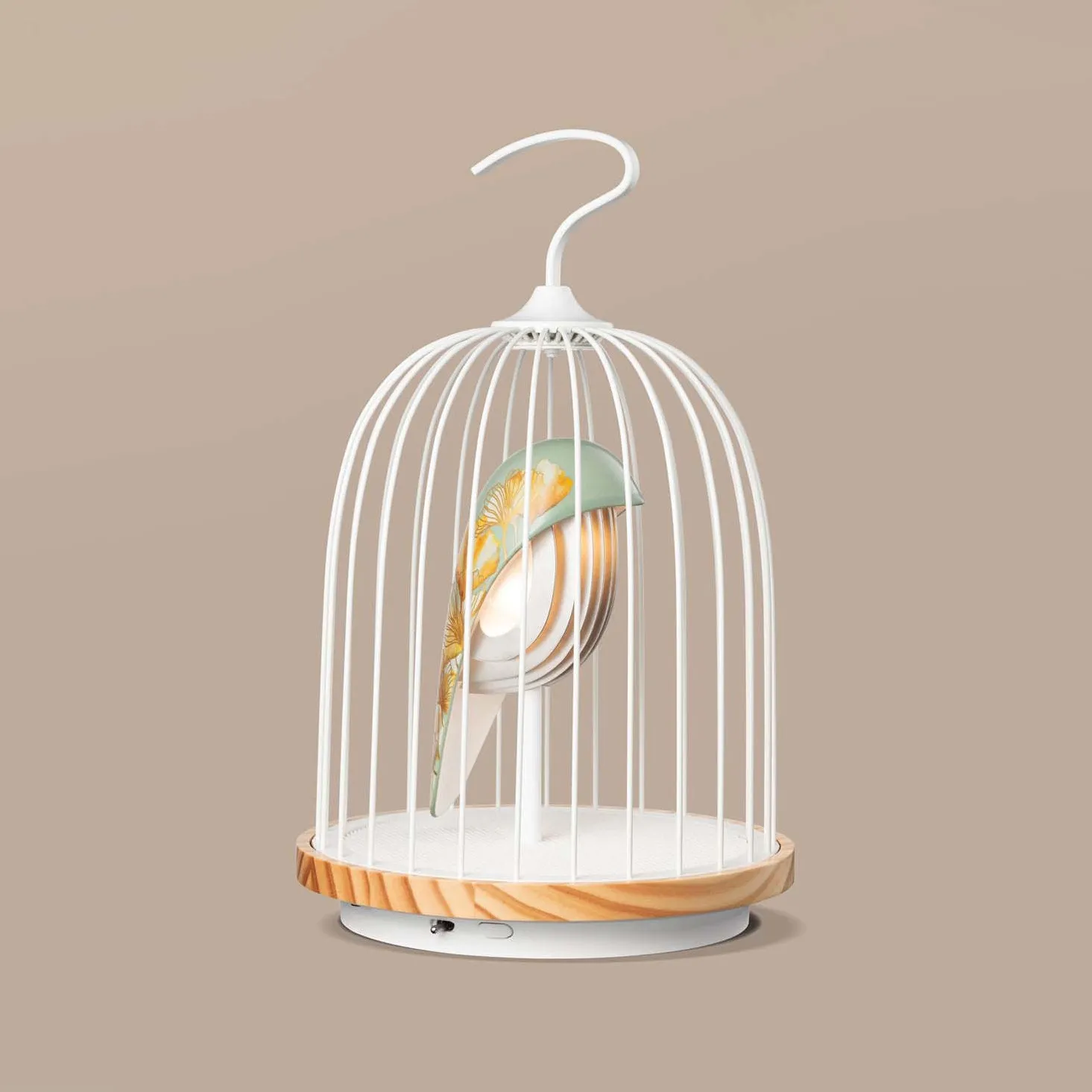 JinGoo Bluetooth Speaker/Light