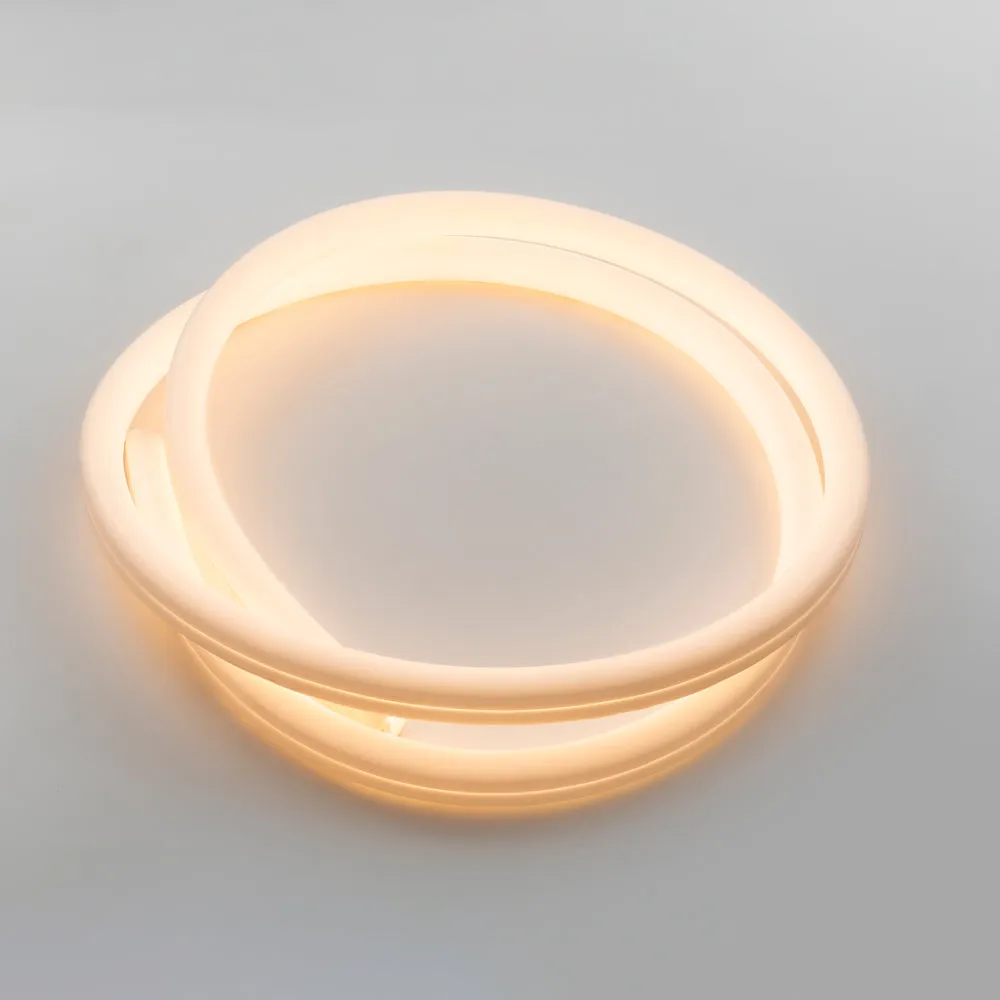 La Linea Outdoor Wall/Ceiling Light