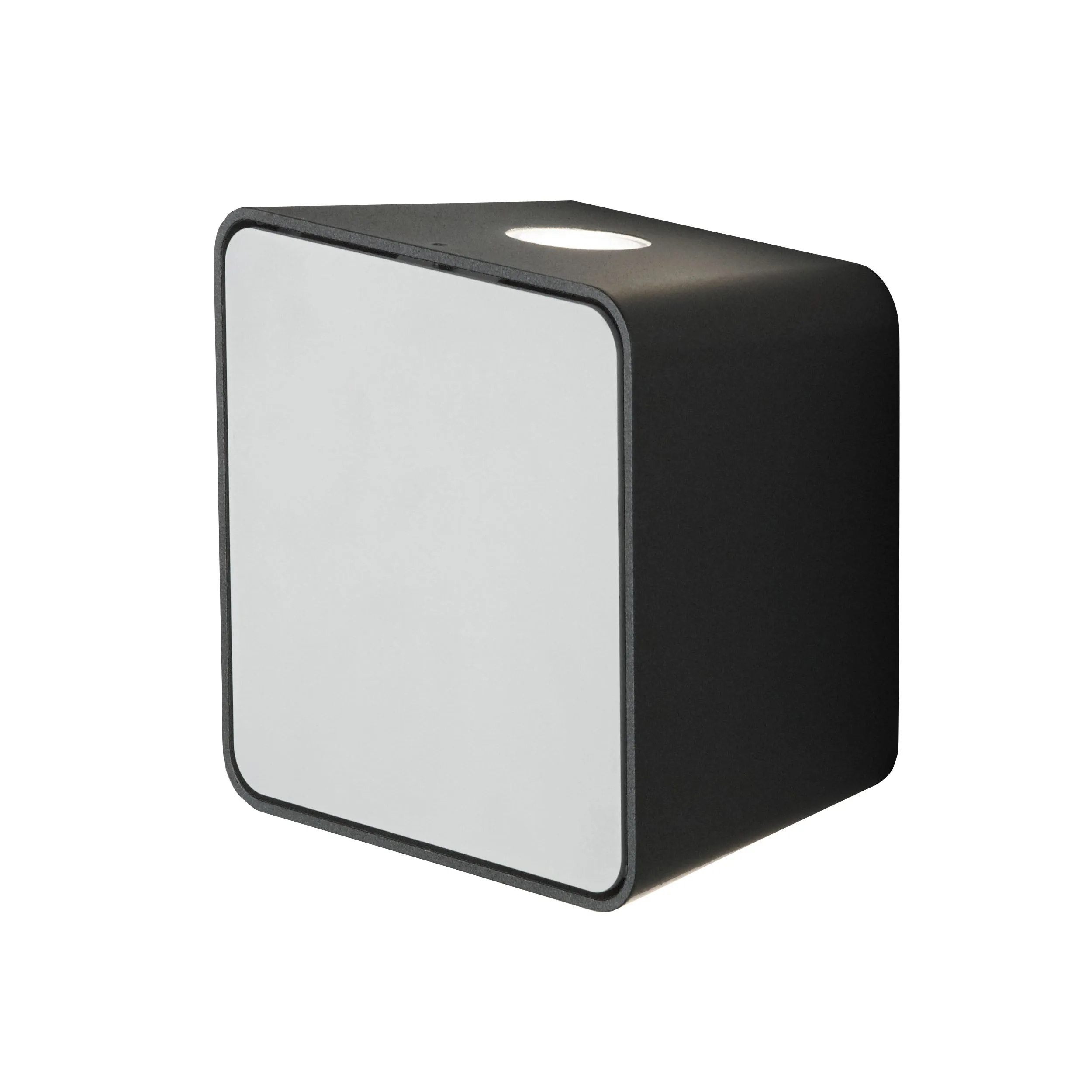 Lab Outdoor Wall Sconce