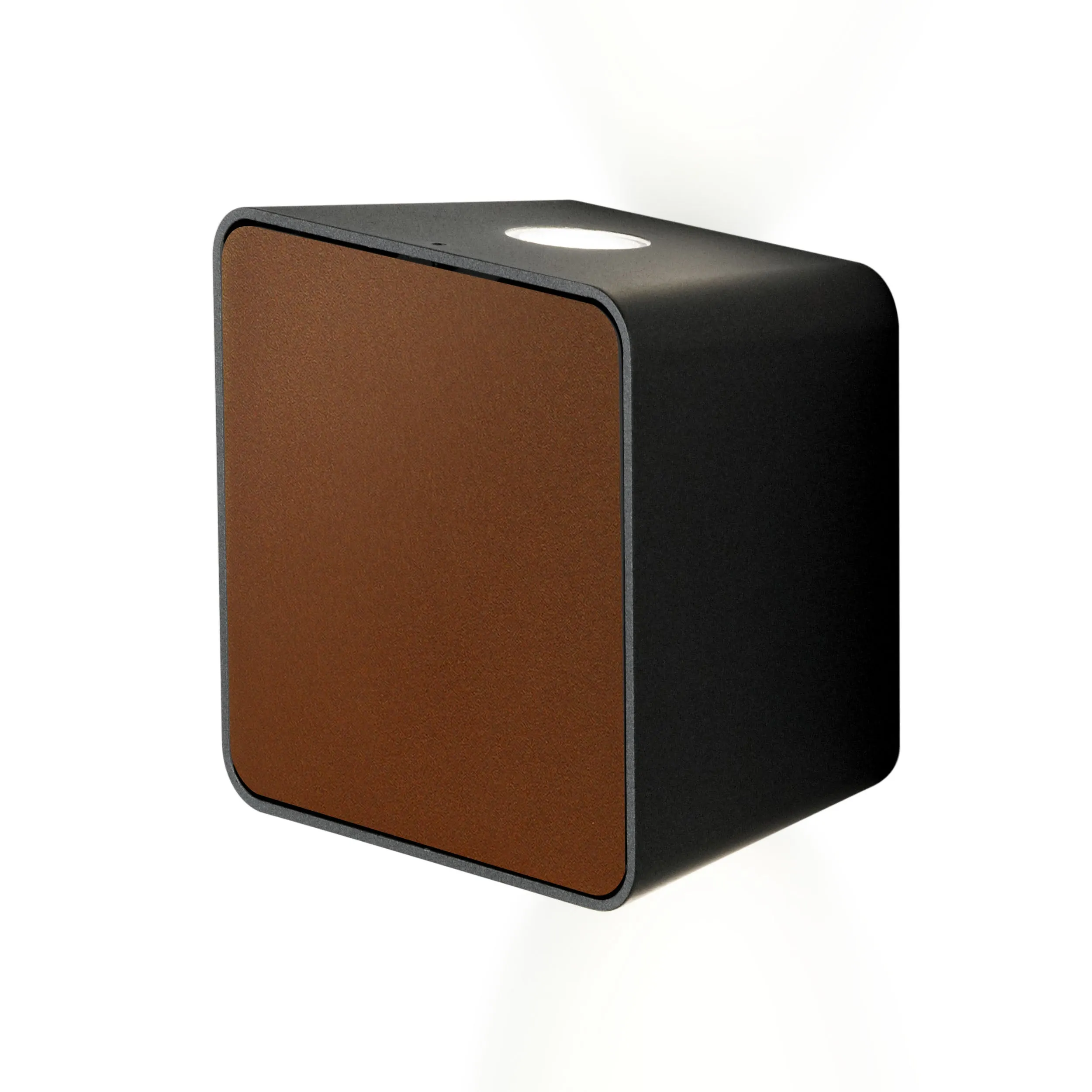 Lab Outdoor Wall Sconce