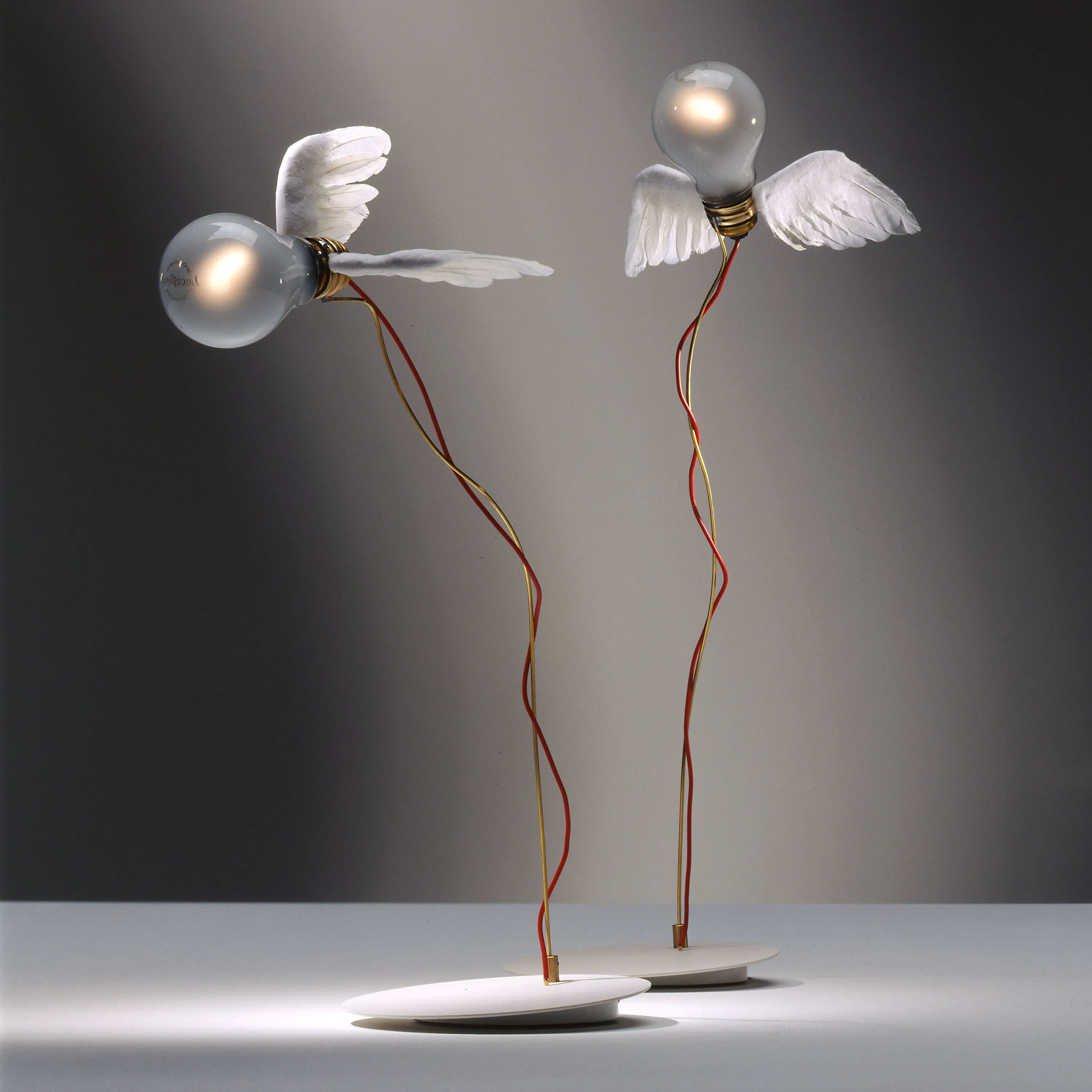 Lucellino LED Table Lamp