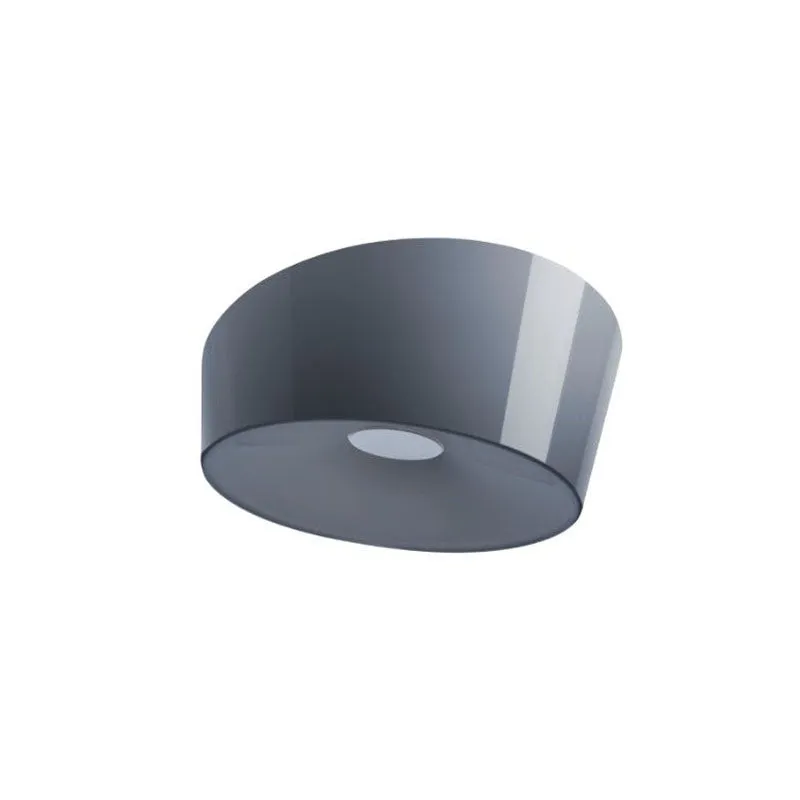 Lumiere XX LED Wall or Ceiling Light